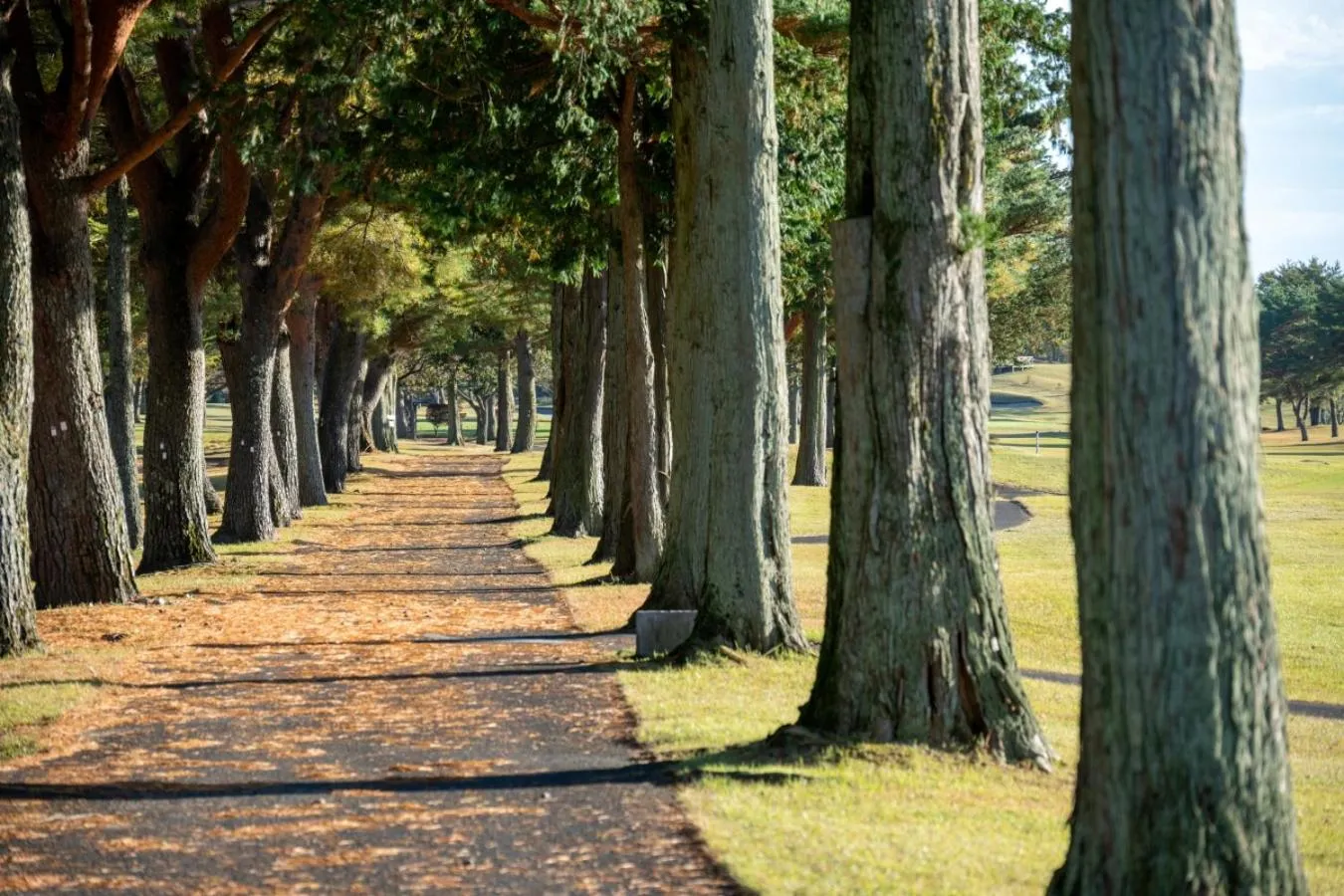 Property building in Wellness Forest Nasu