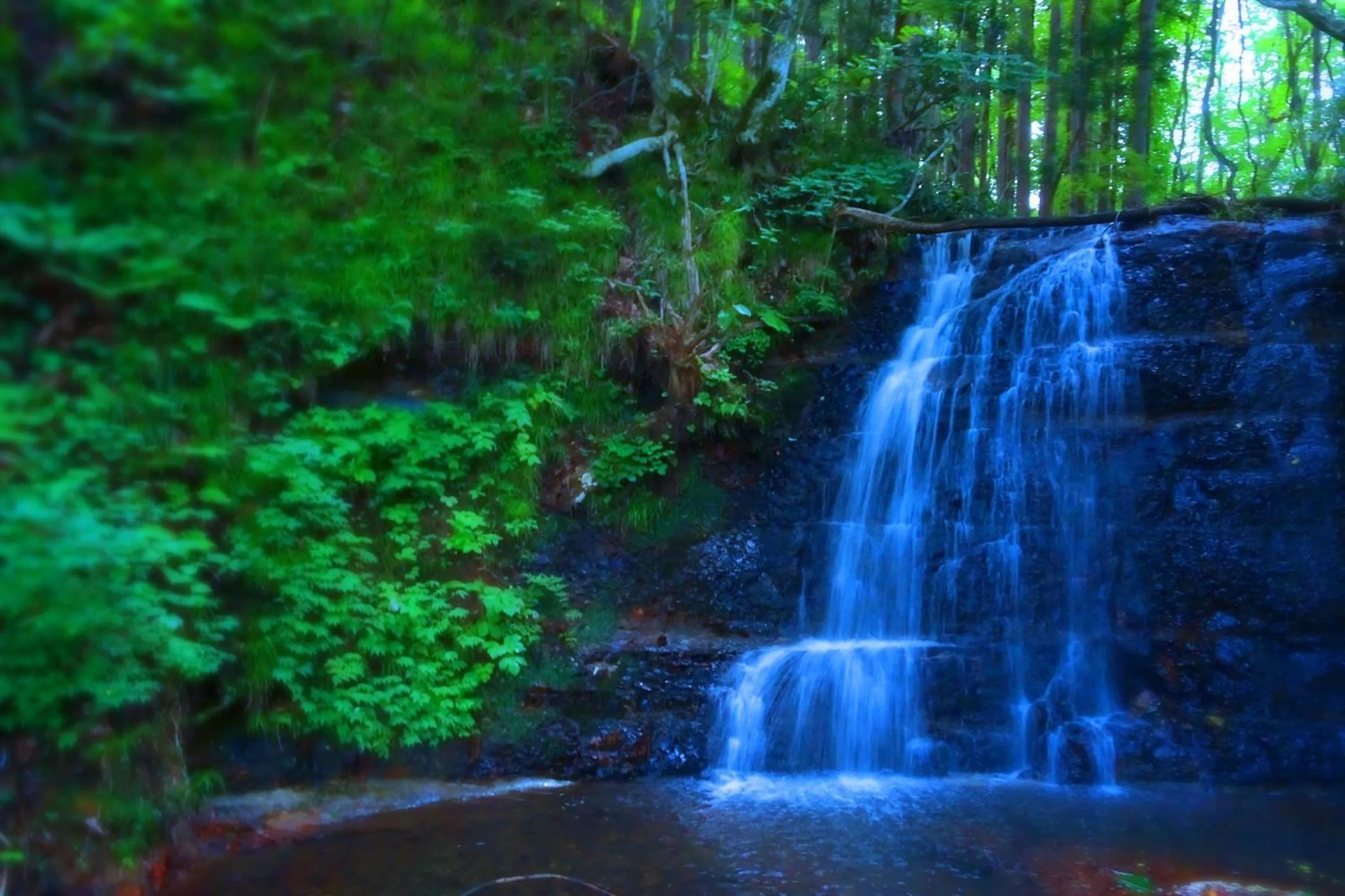 Property building in Sannouzan Onsen Zuisenkyo