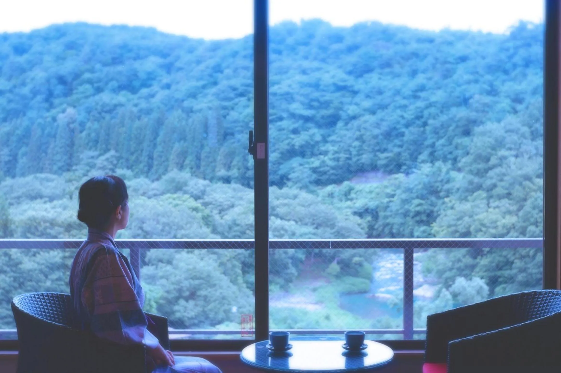 Living room in Sannouzan Onsen Zuisenkyo