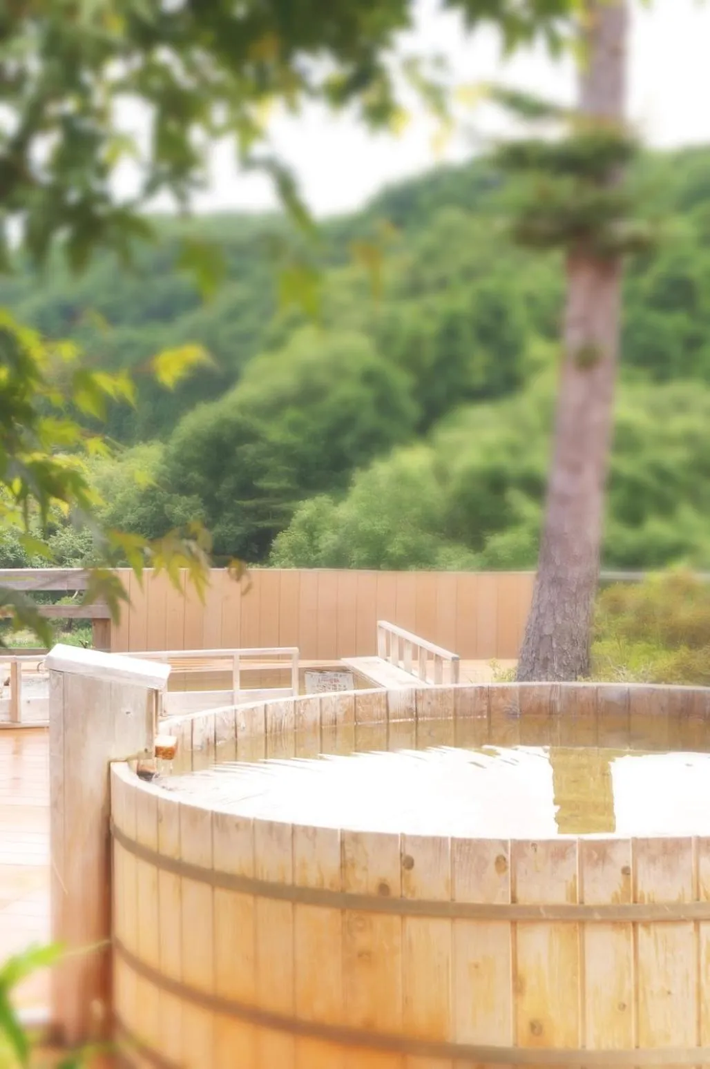 Bathroom in Sannouzan Onsen Zuisenkyo