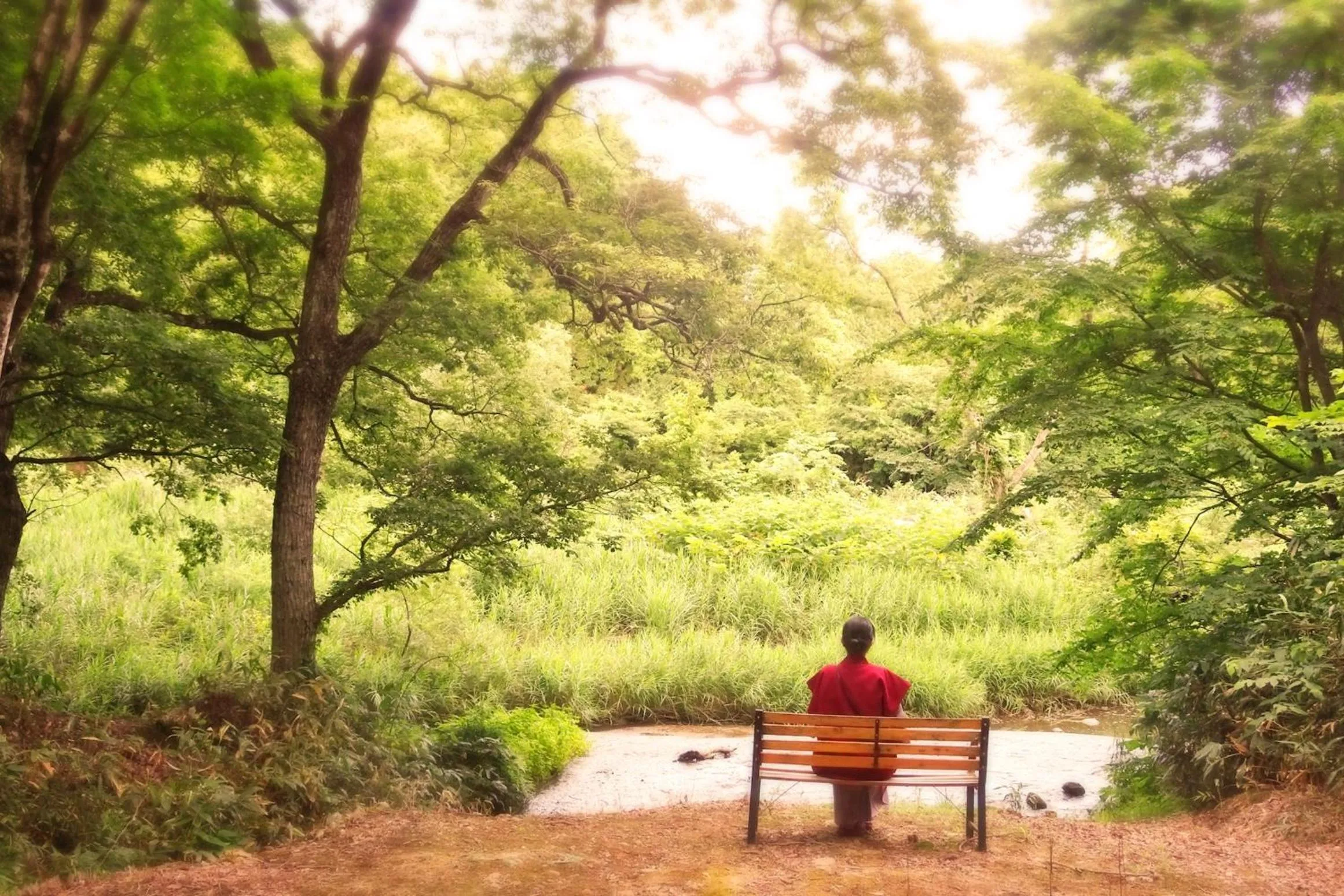 Property building in Sannouzan Onsen Zuisenkyo