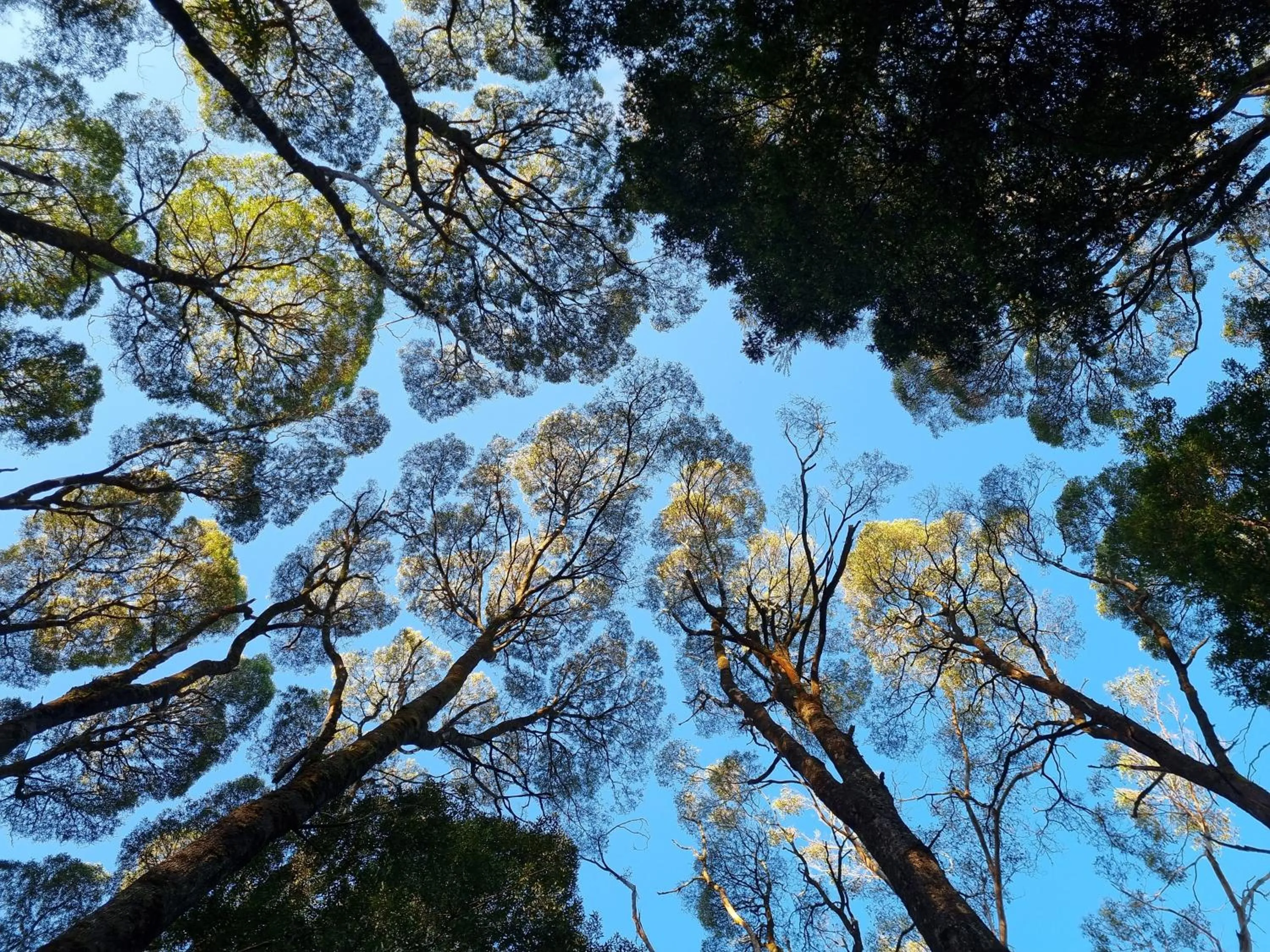 BIG4 Strahan Holiday Retreat