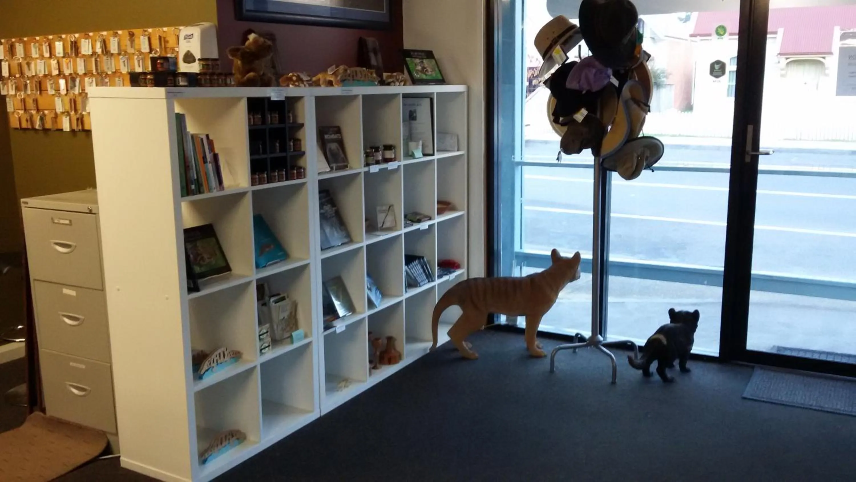 Library in BIG4 Strahan Holiday Retreat