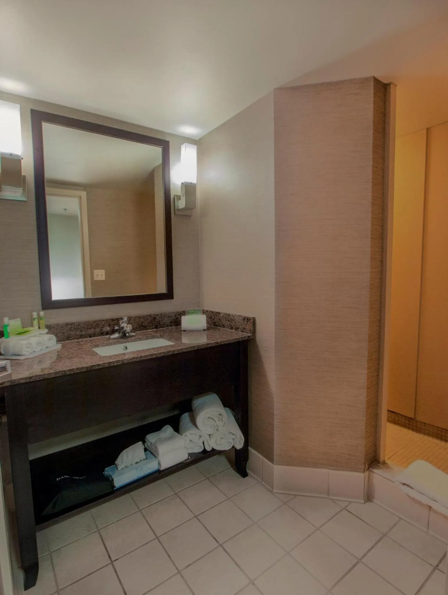 Bathroom in Holiday Inn Express & Suites Buffalo Airport by IHG