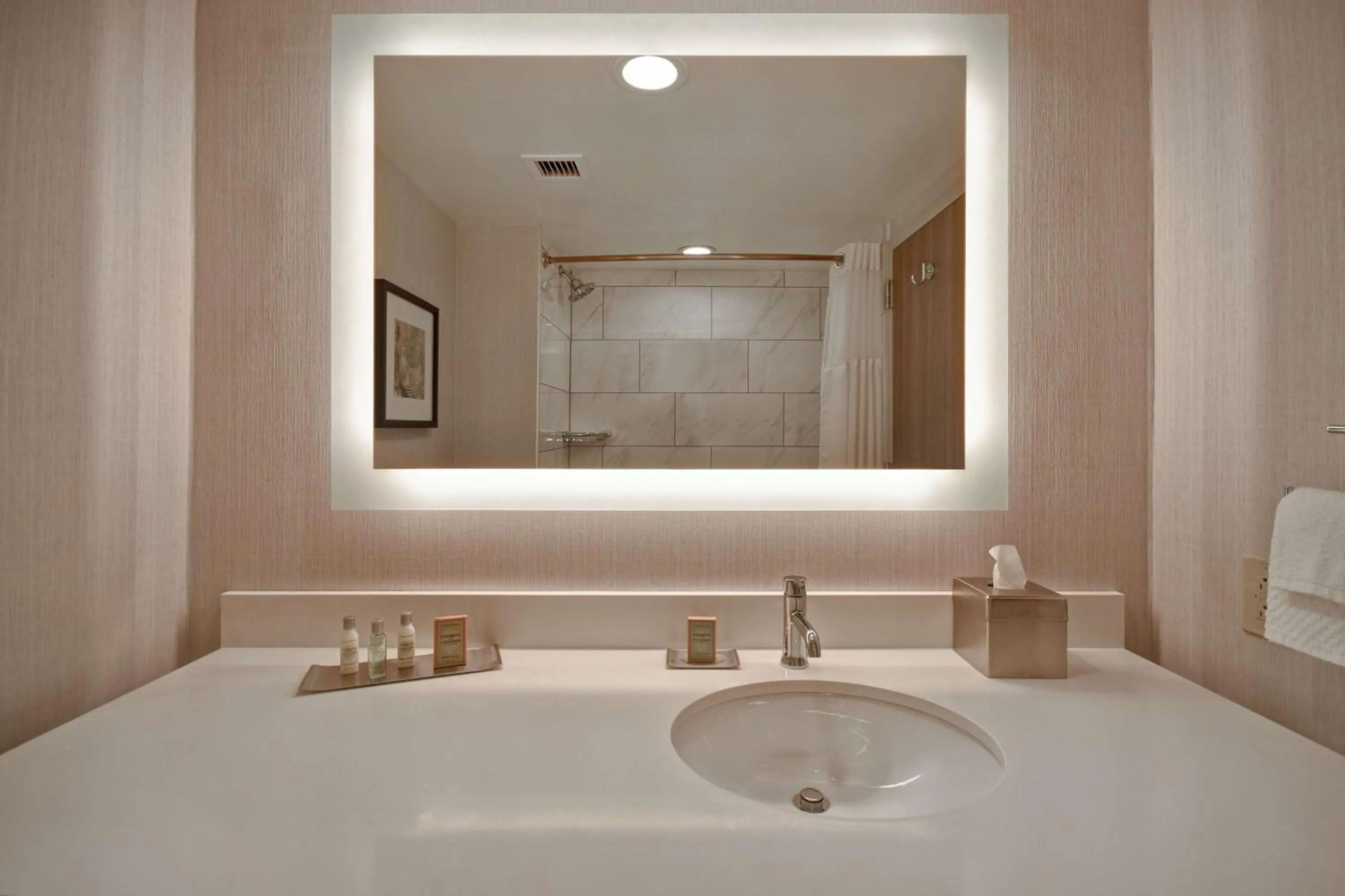 Bathroom in DoubleTree by Hilton St. Louis Airport, MO