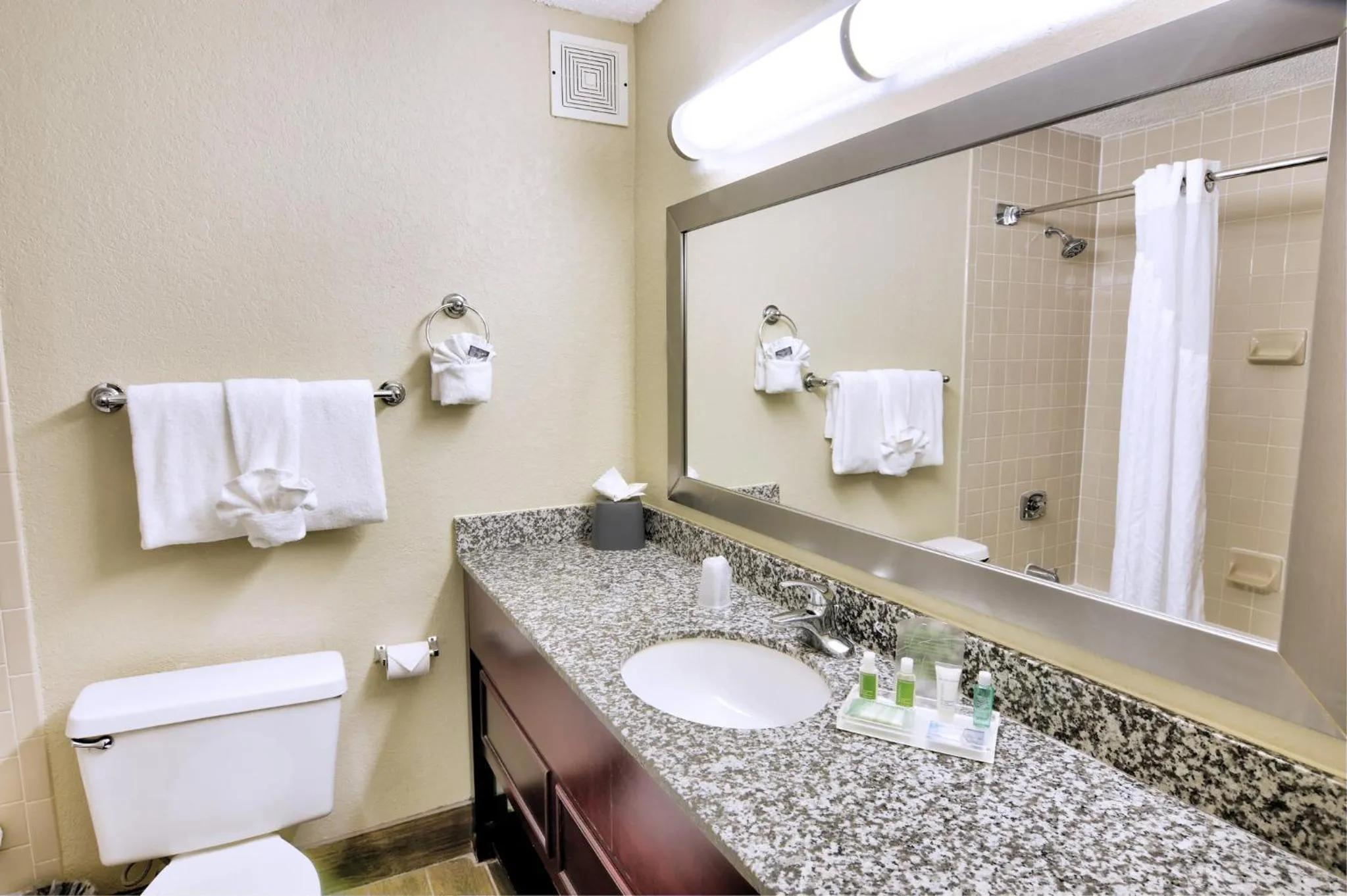Bathroom in Holiday Inn St. Petersburg N - Clearwater by IHG