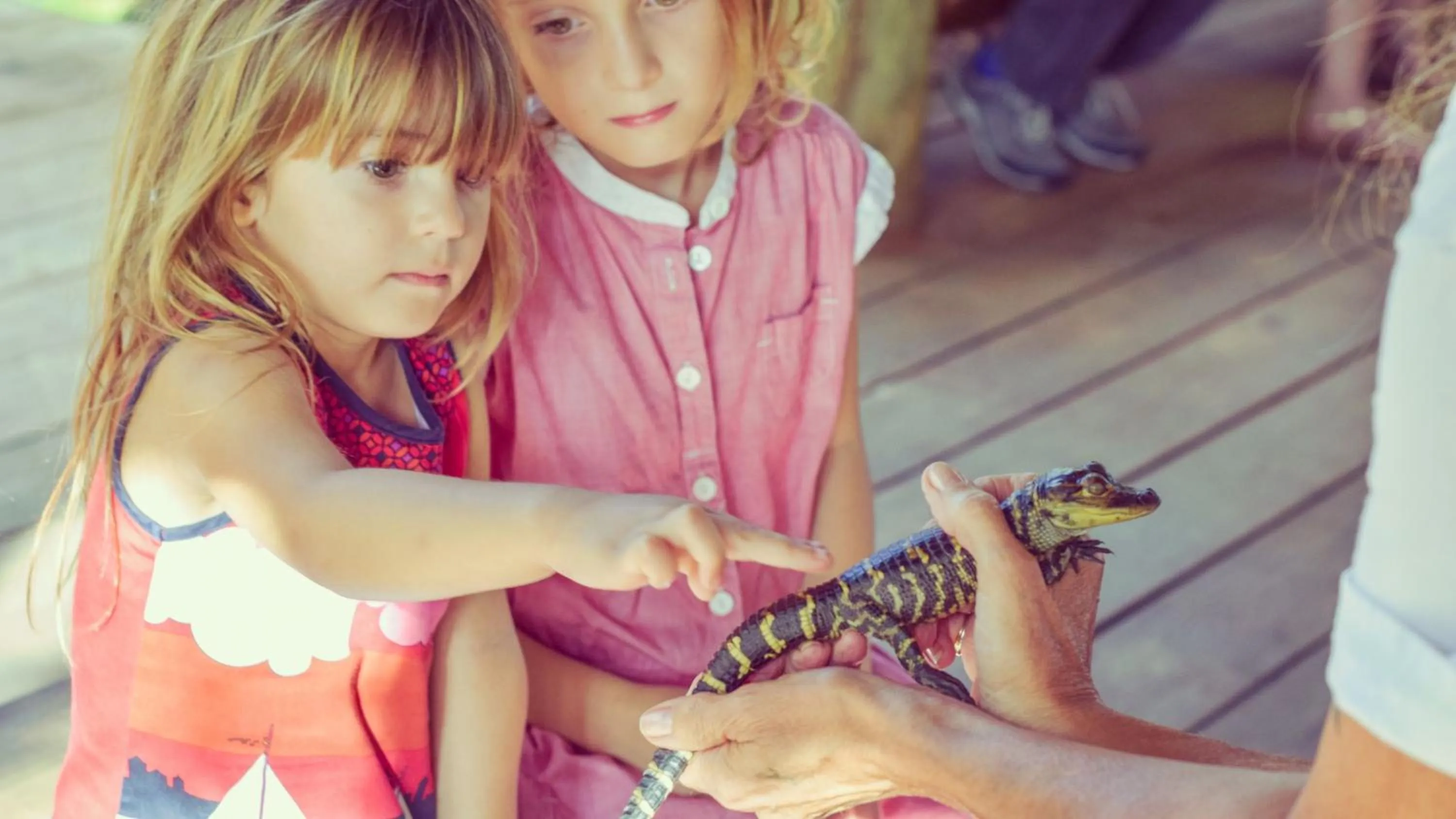 Nearby landmark in Holiday Inn Express San Diego South - National City by IHG