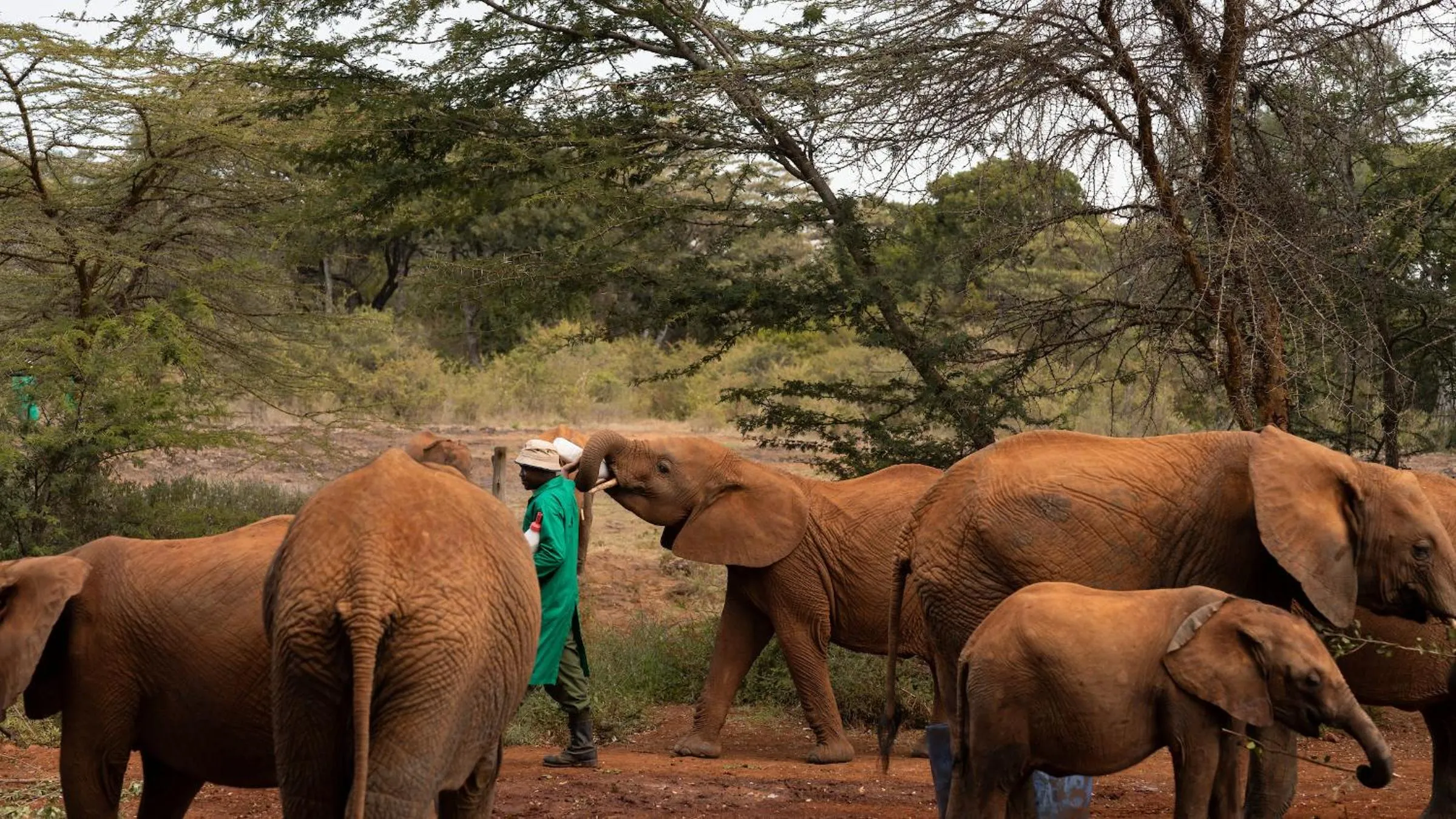 Nearby landmark in Vignette Collection -Fairview Hotel Nairobi