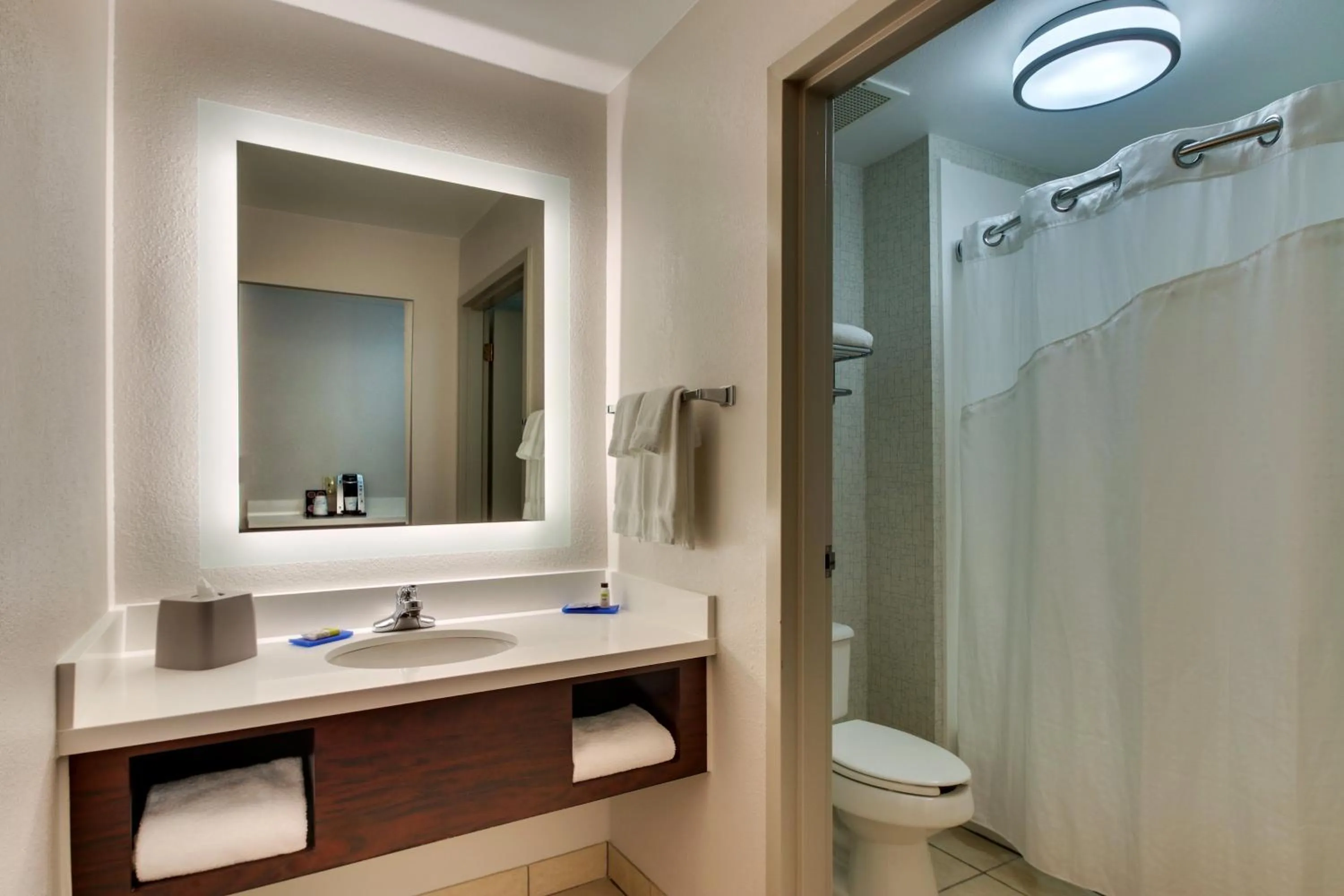 Bathroom in Holiday Inn Express Hotel & Suites - Atlanta/Emory University Area by IHG