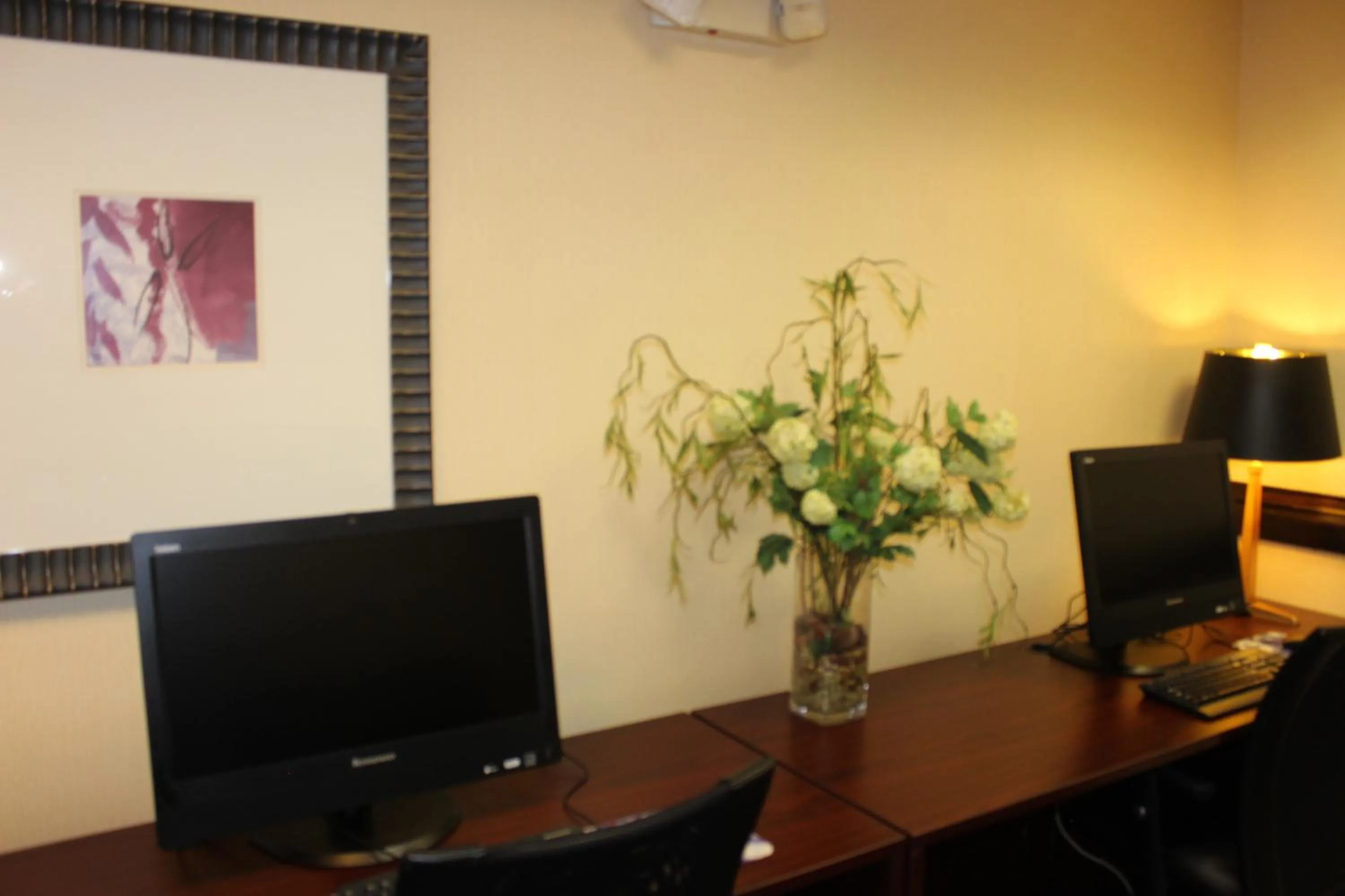 Other in Holiday Inn Express Hotel & Suites - Atlanta/Emory University Area by IHG