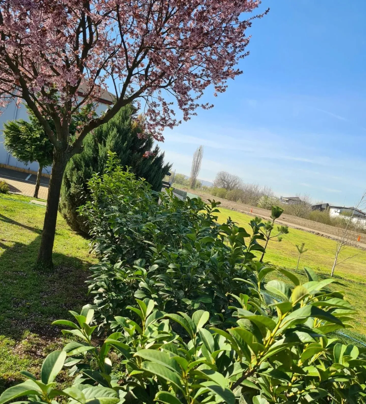 Garni Hotel & Spa Nicolo