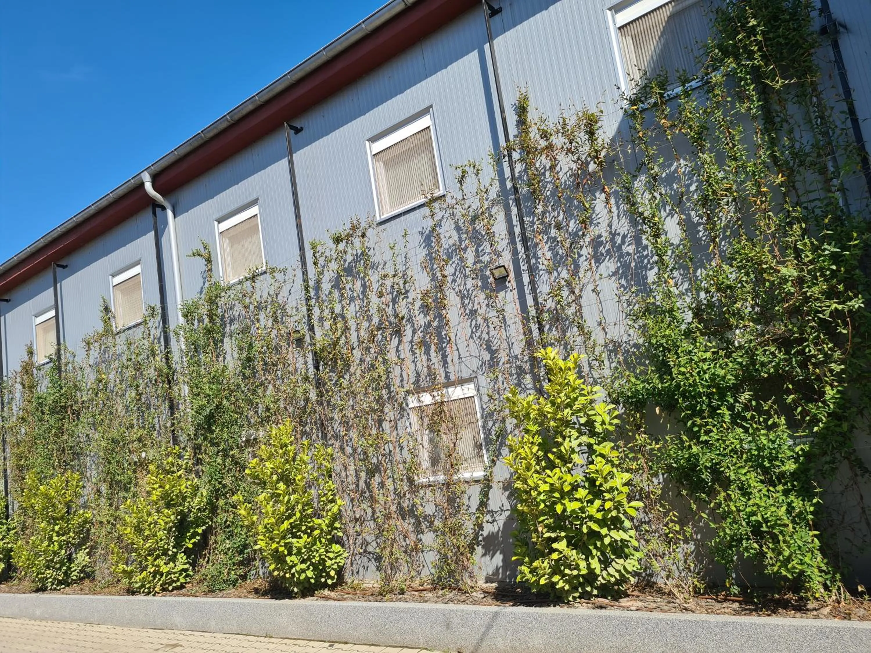 Garni Hotel & Spa Nicolo