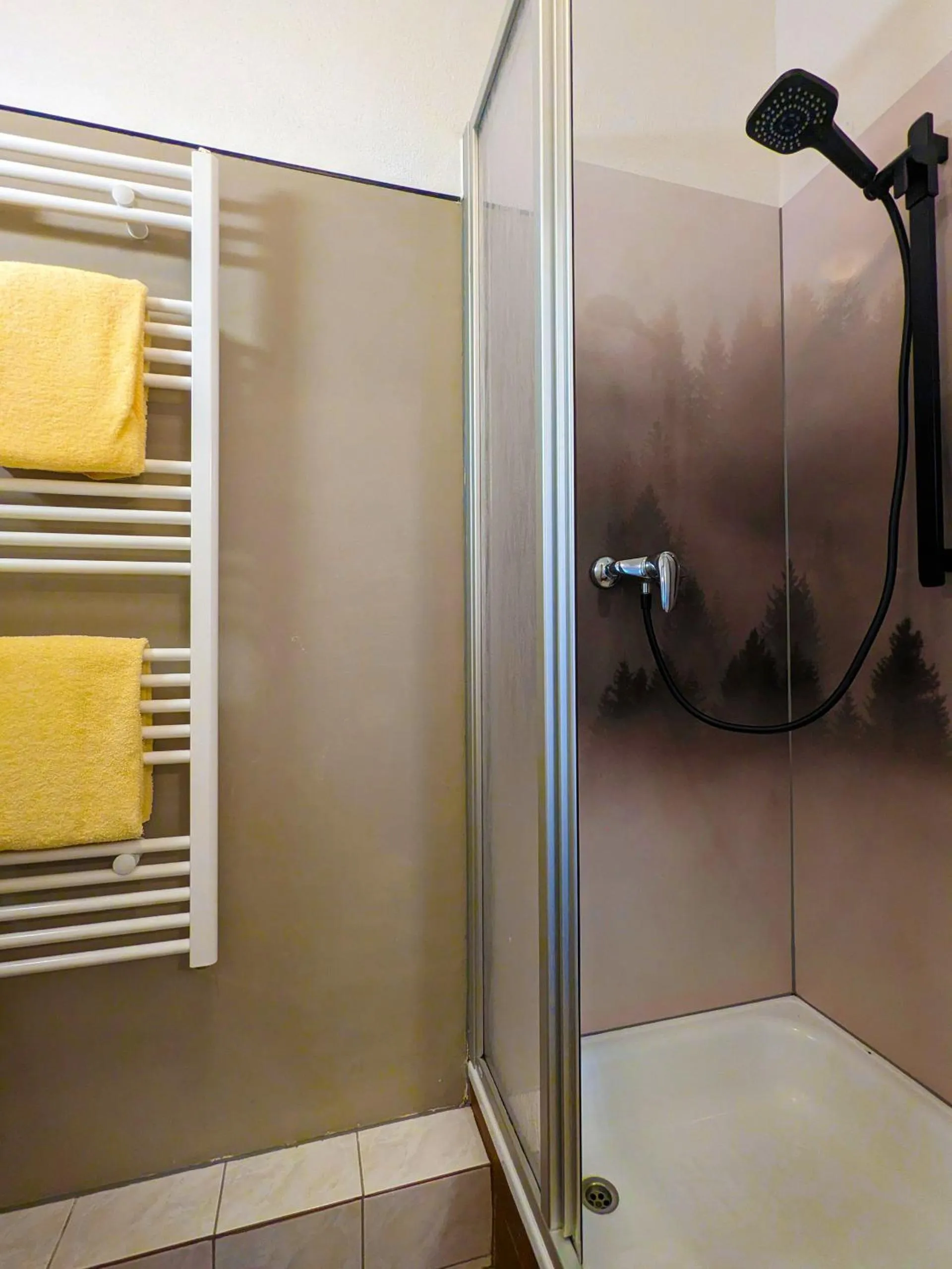 Bathroom in Hotel Berghof Wasserkuppe & Gästehaus Fuldaquelle