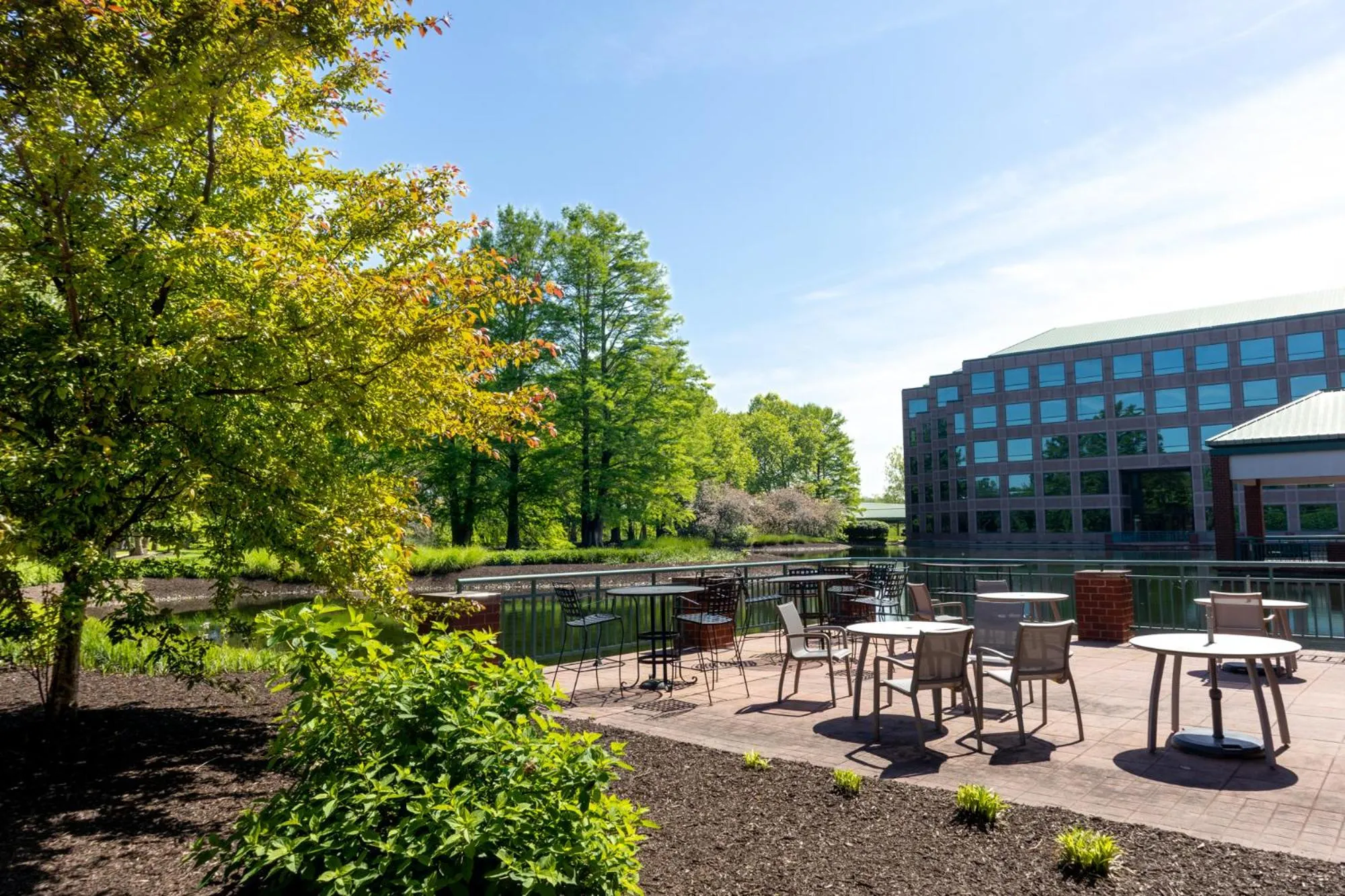 Patio in Elimwood Hotel, a Ramada by Wyndham