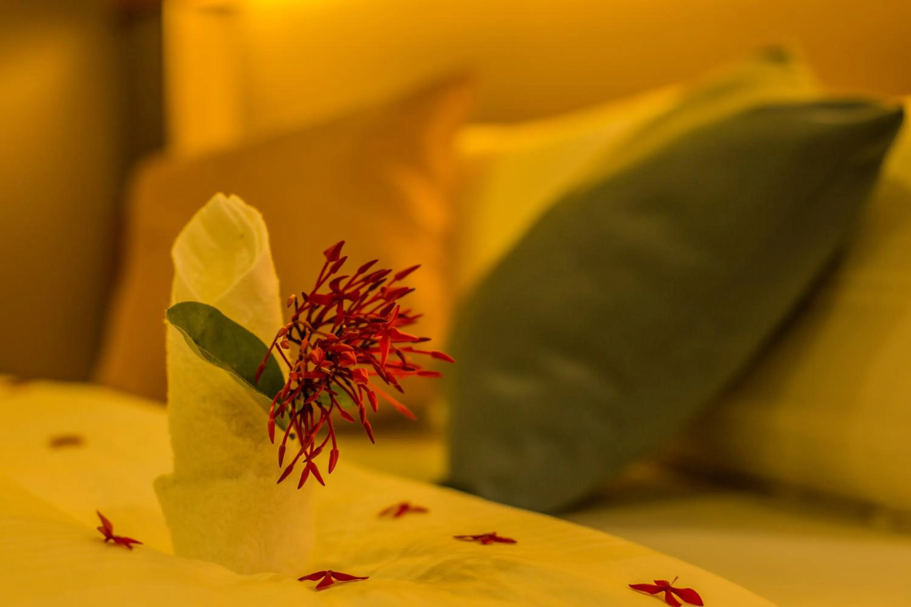 Bed in Kuredhi Beach Inn