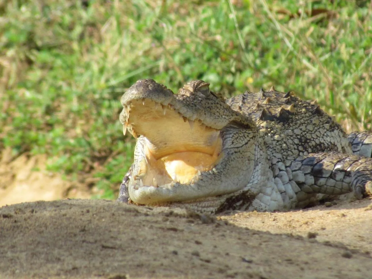 Other in Lake Villa Resort