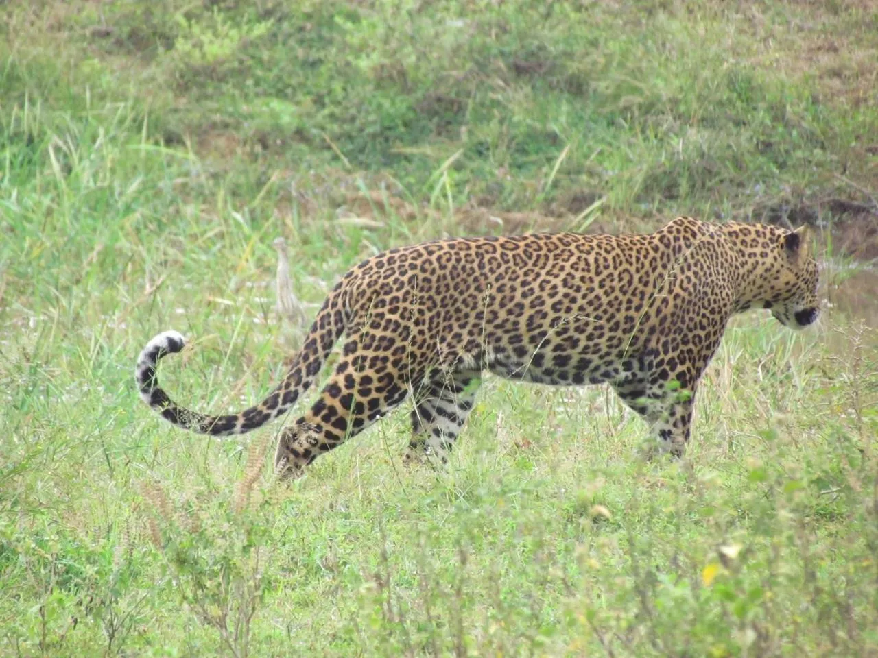 Other in Lake Villa Resort