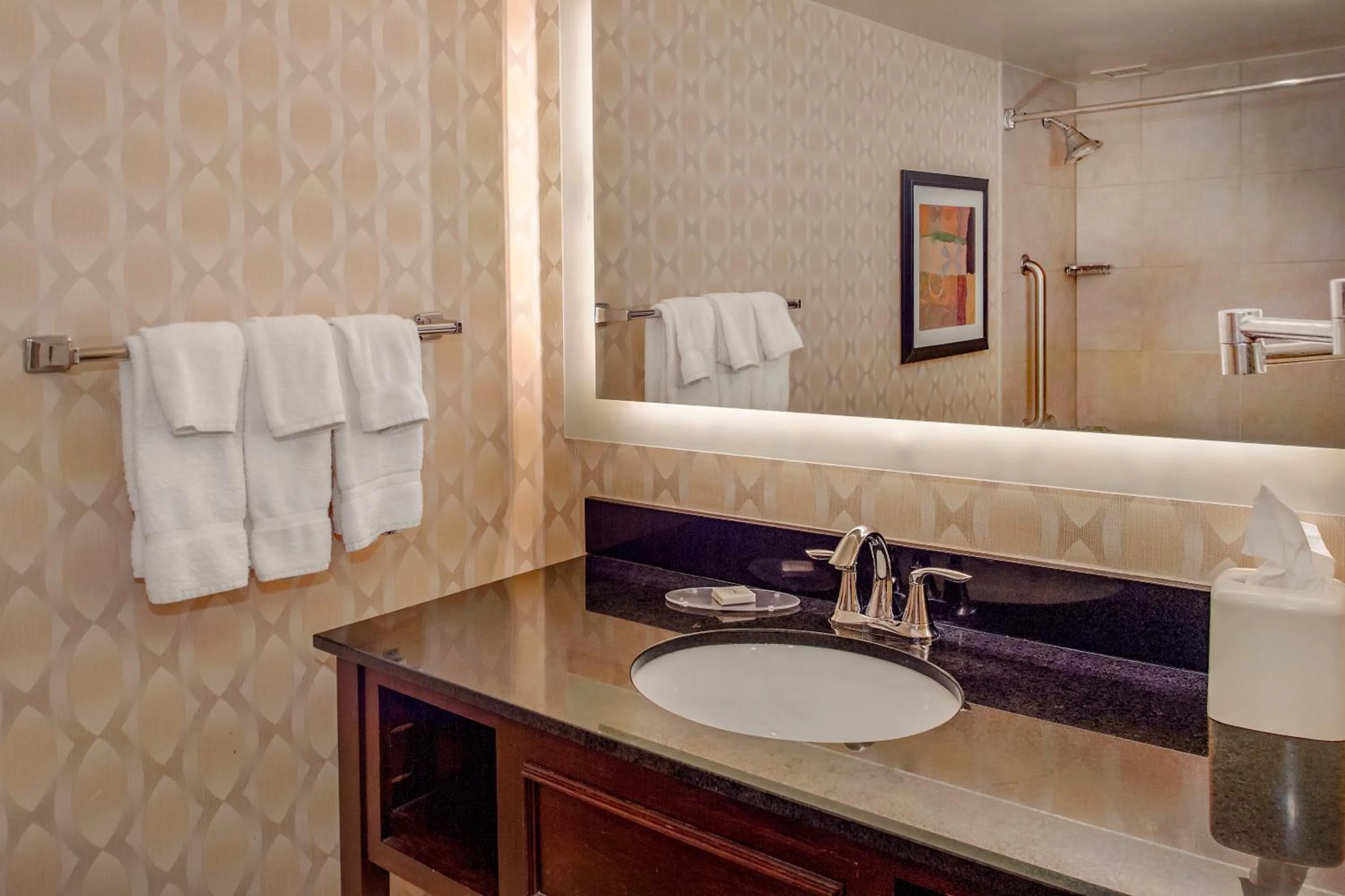 Bathroom in Crowne Plaza Hotel St. Louis Airport by IHG