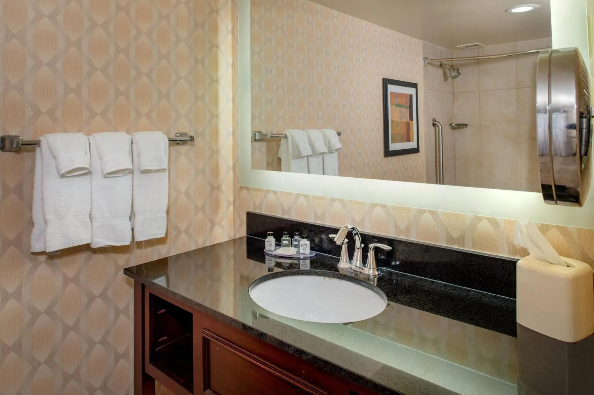 Bathroom in Crowne Plaza Hotel St. Louis Airport by IHG