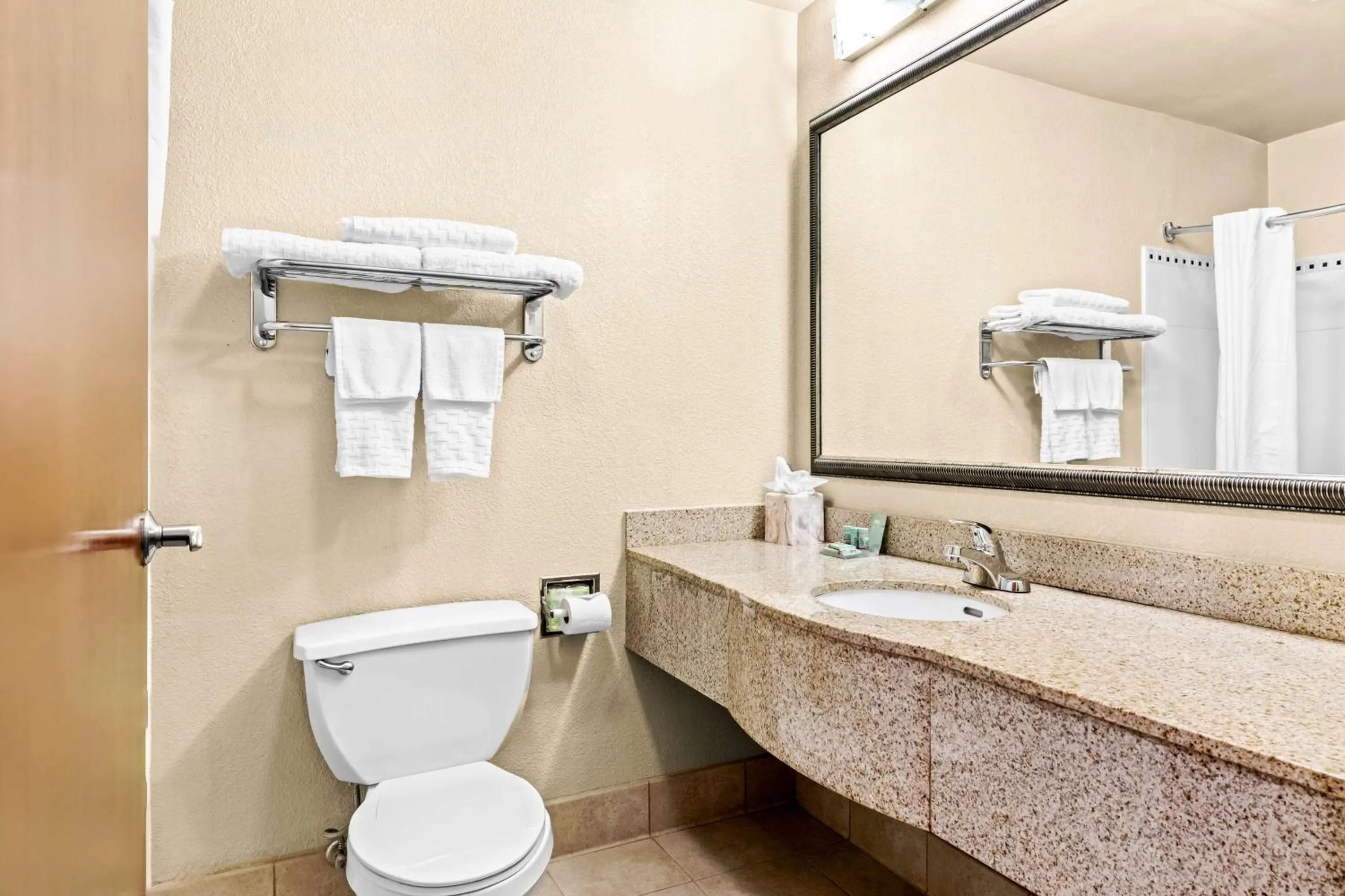 Bathroom in Best Western Gwinnett Center