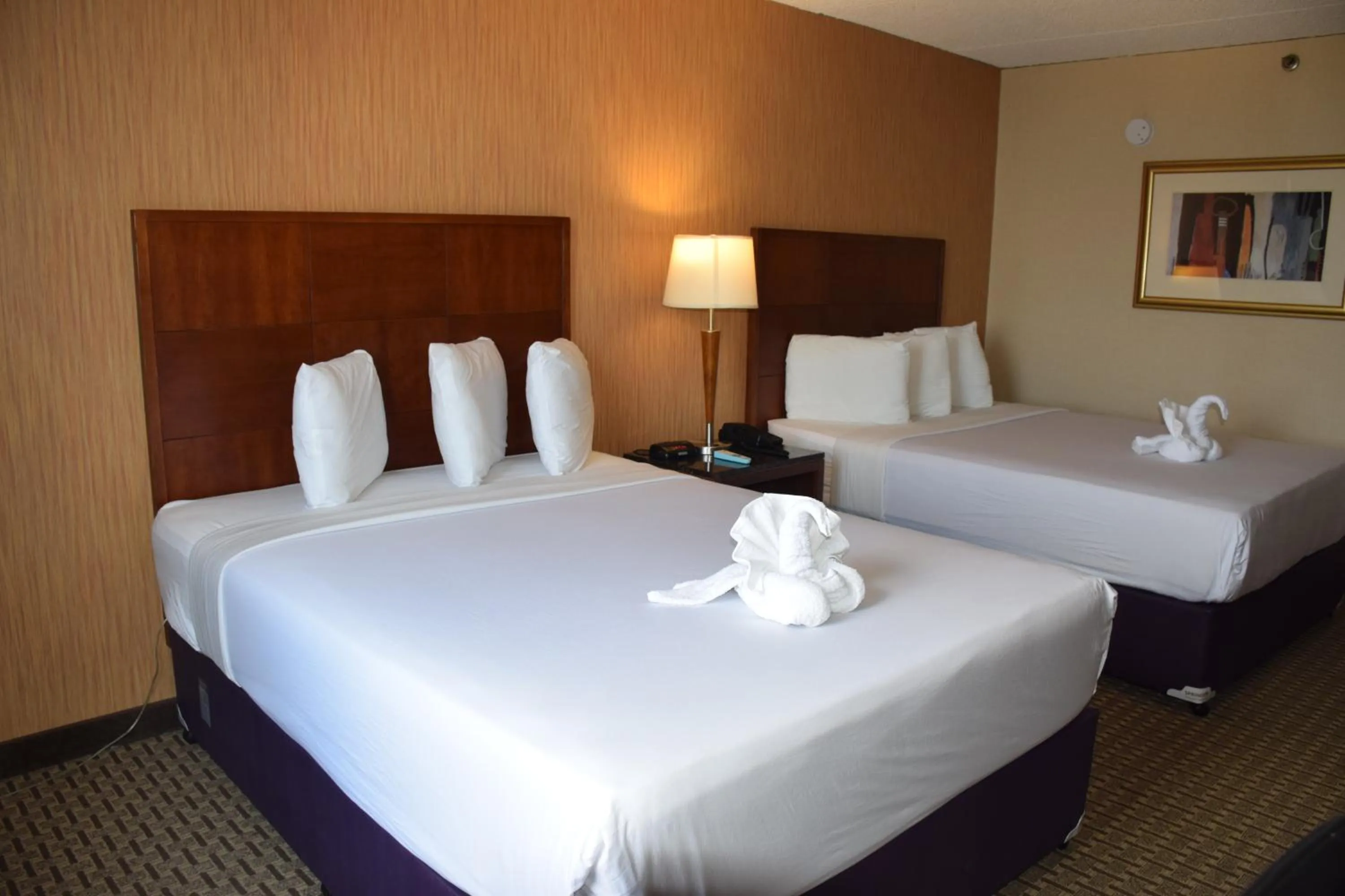 Photo of the whole room in E Hotel Banquet & Conference Center