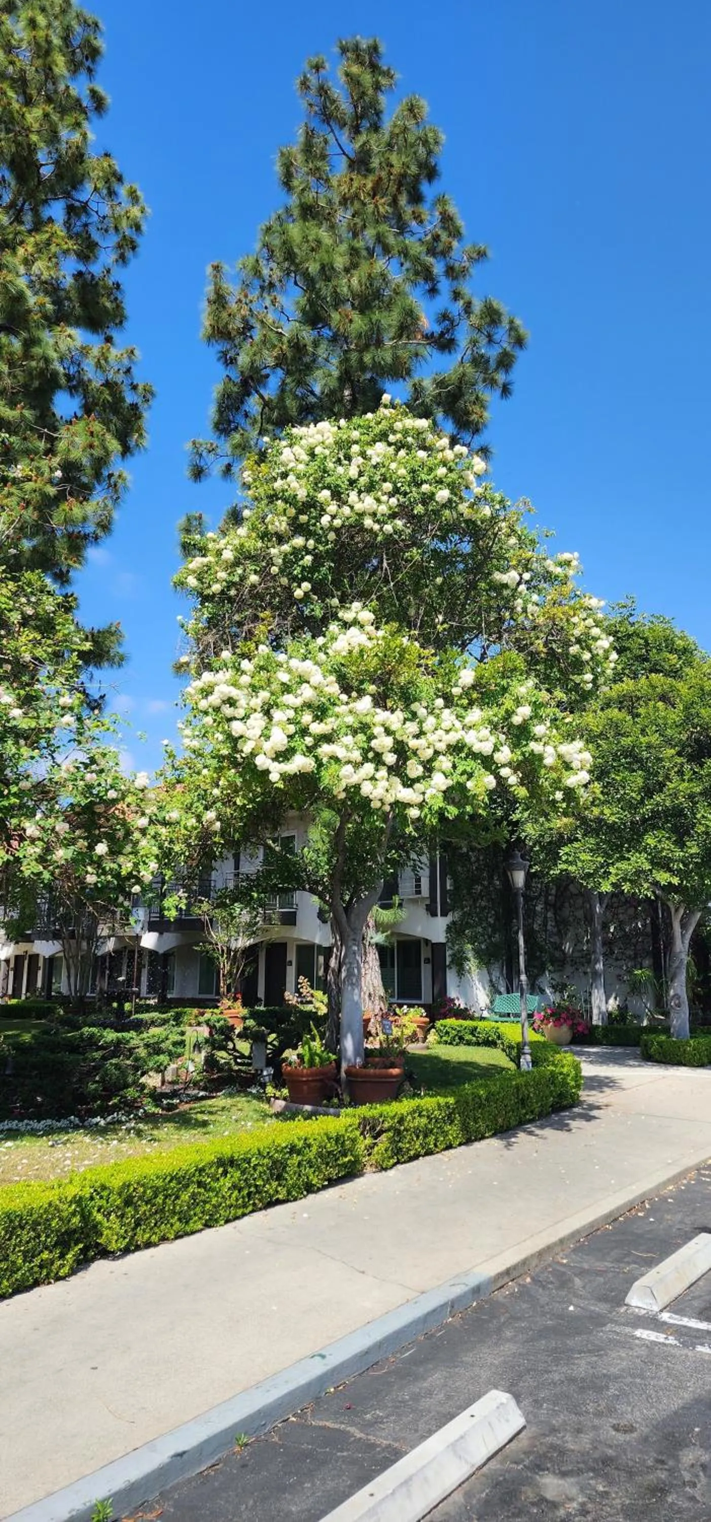 Property building in Laguna Hills Lodge-Irvine Spectrum