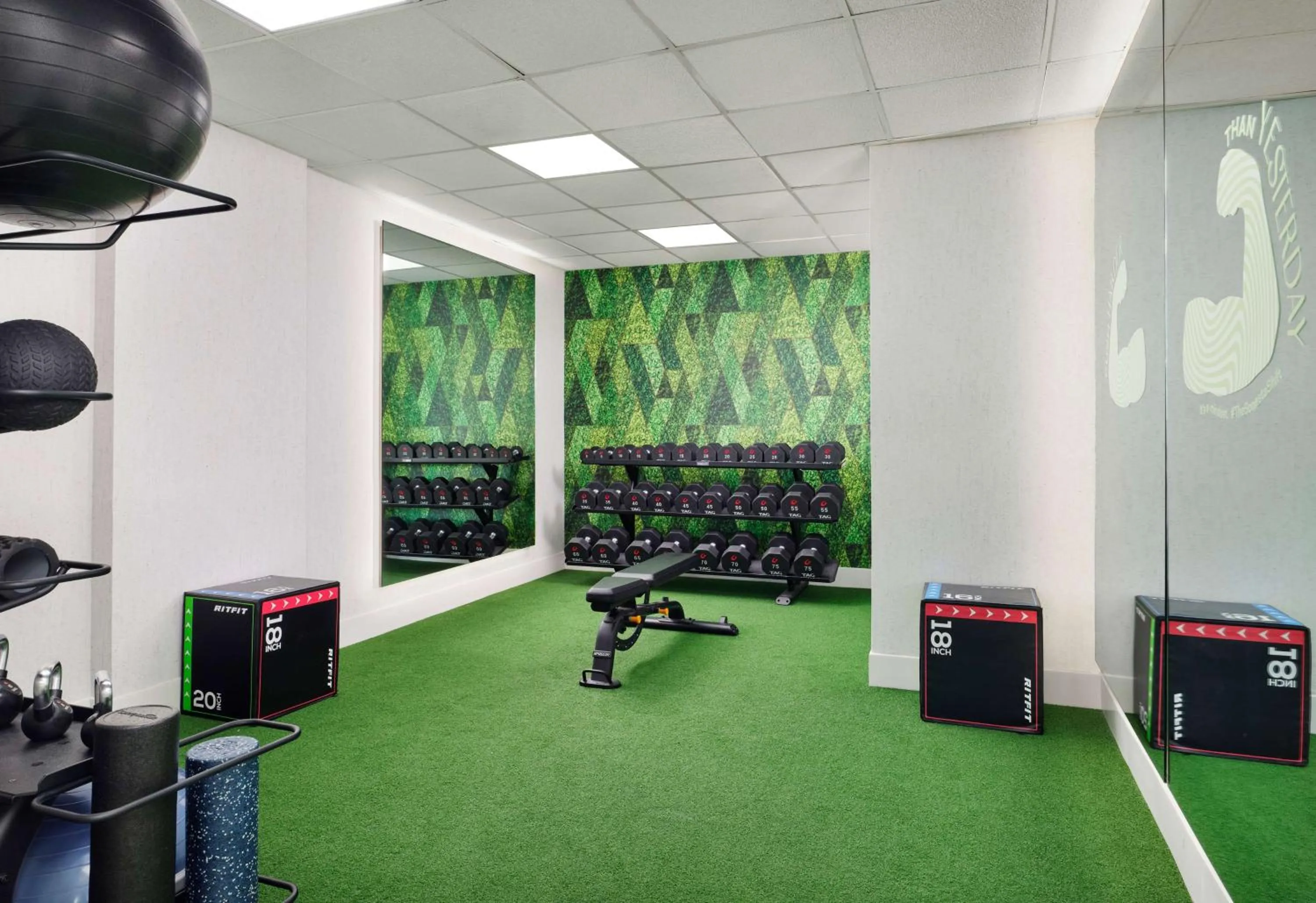Fitness centre/facilities in Sonesta White Plains Downtown