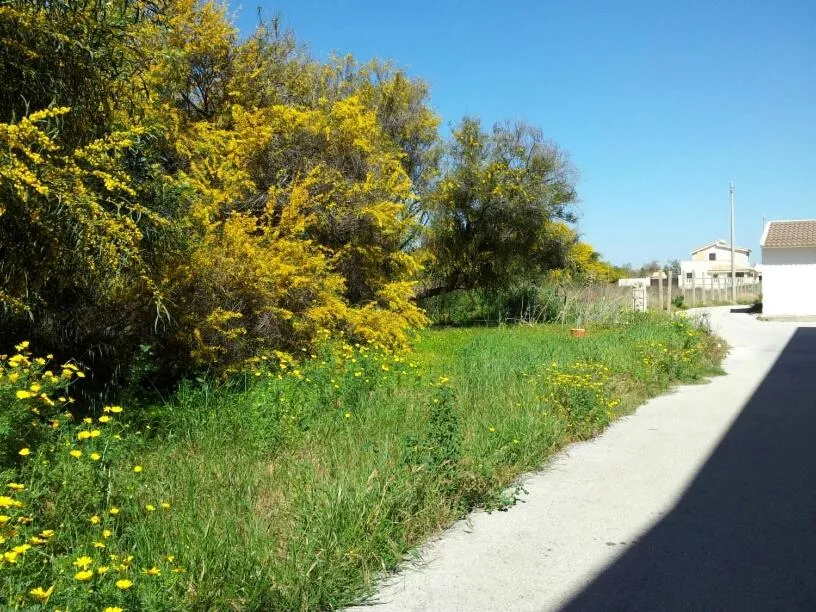 Property building in Casa Viale Lido
