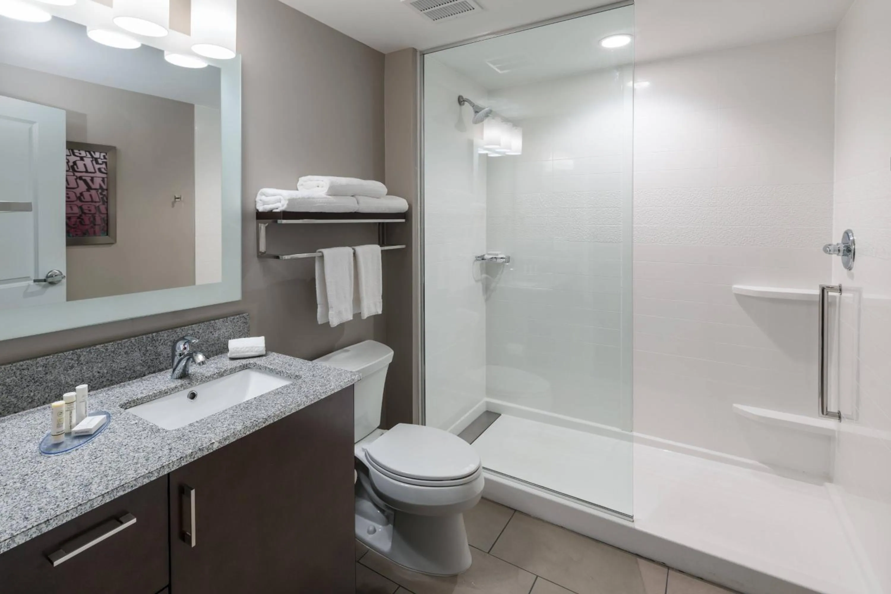 Bathroom in TownePlace Suites by Marriott Chicago Schaumburg