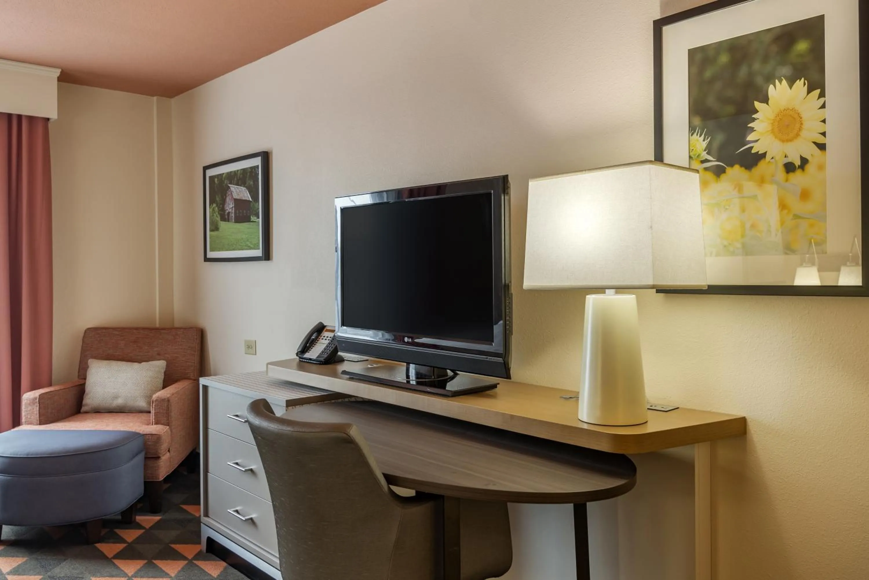 TV and multimedia in Holiday Inn Atlanta-Gas South Arena Area by IHG