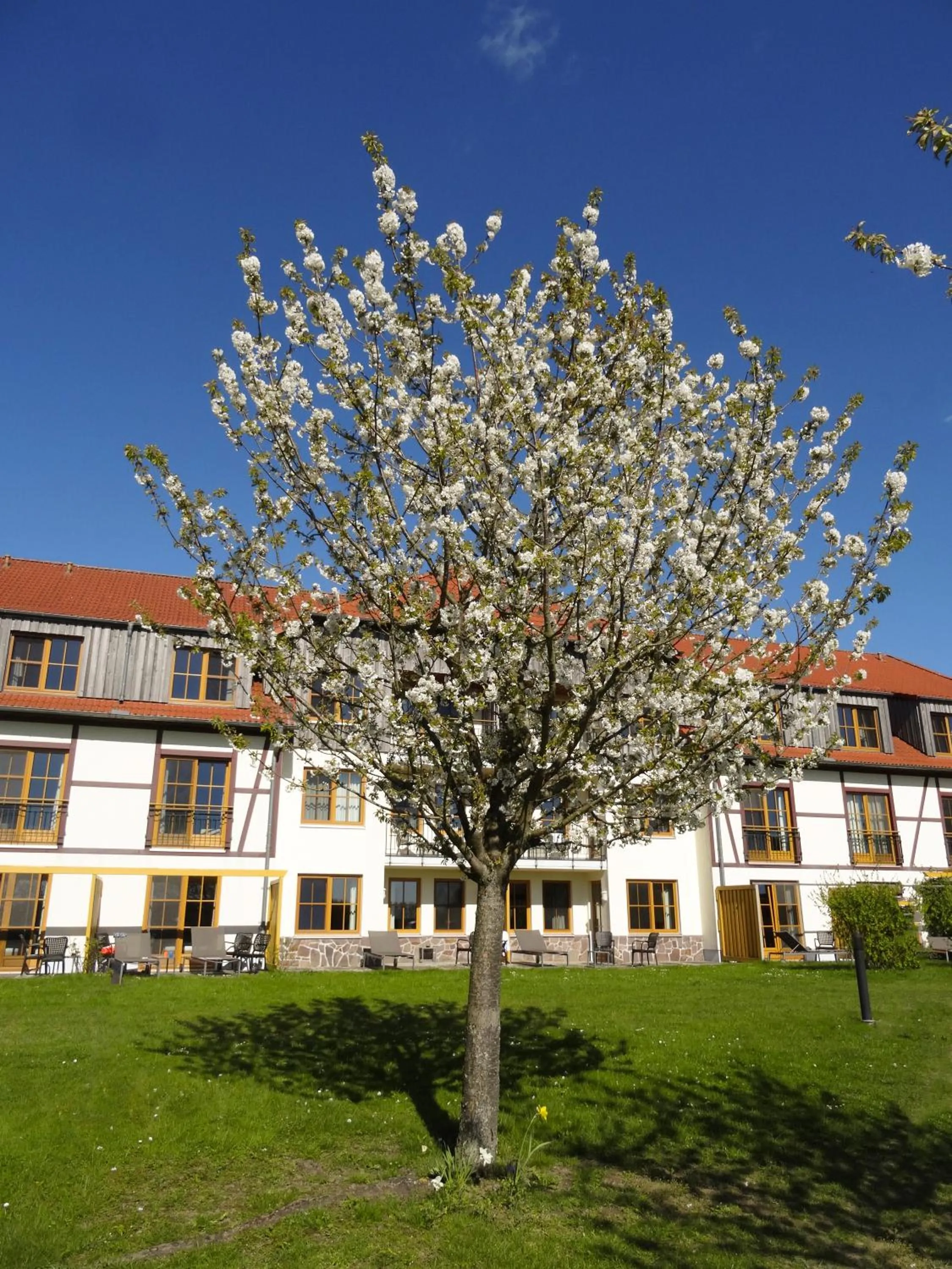 Spring in ROBINSON Fleesensee