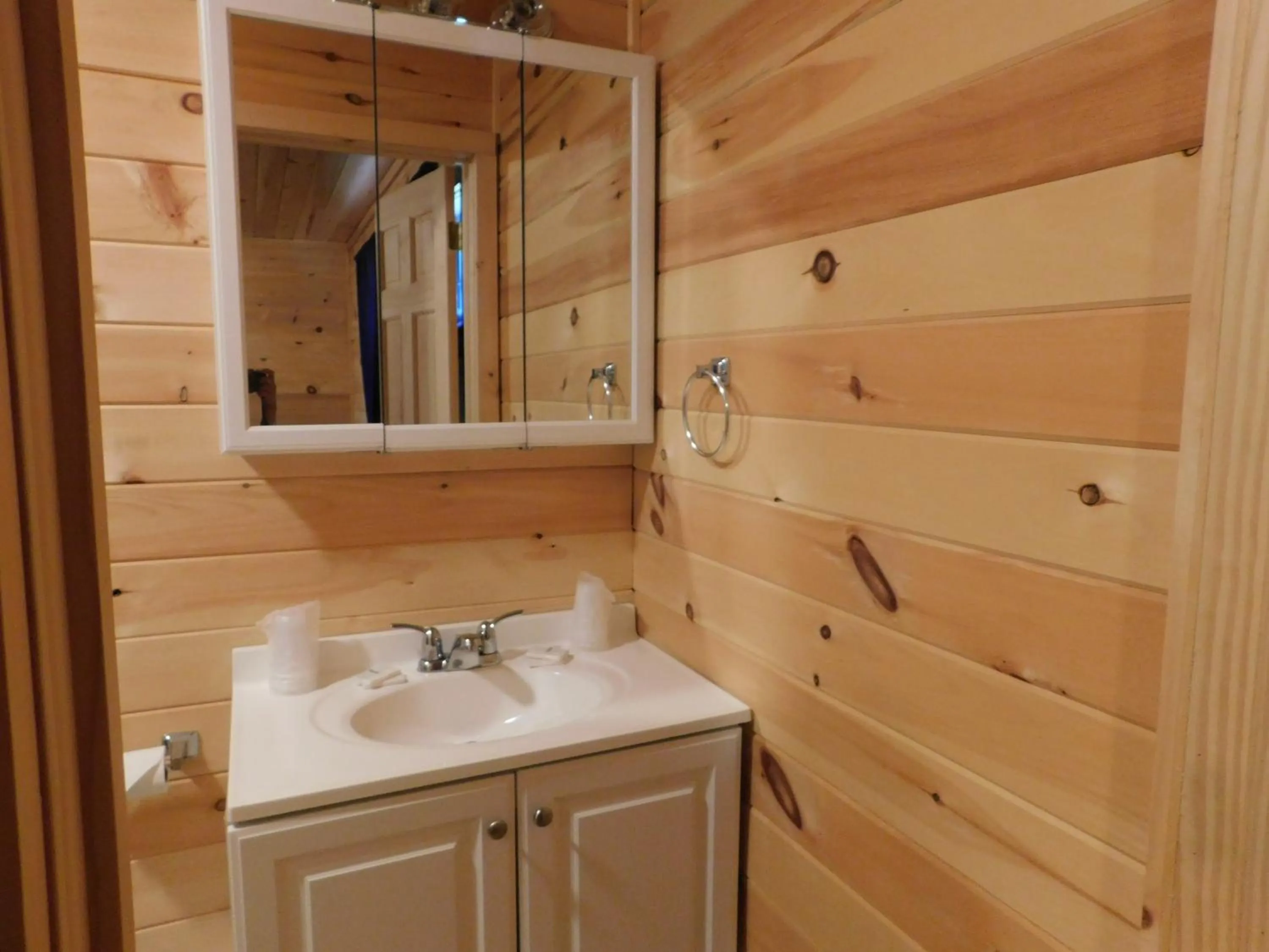Bathroom in Olympian Resort Motel