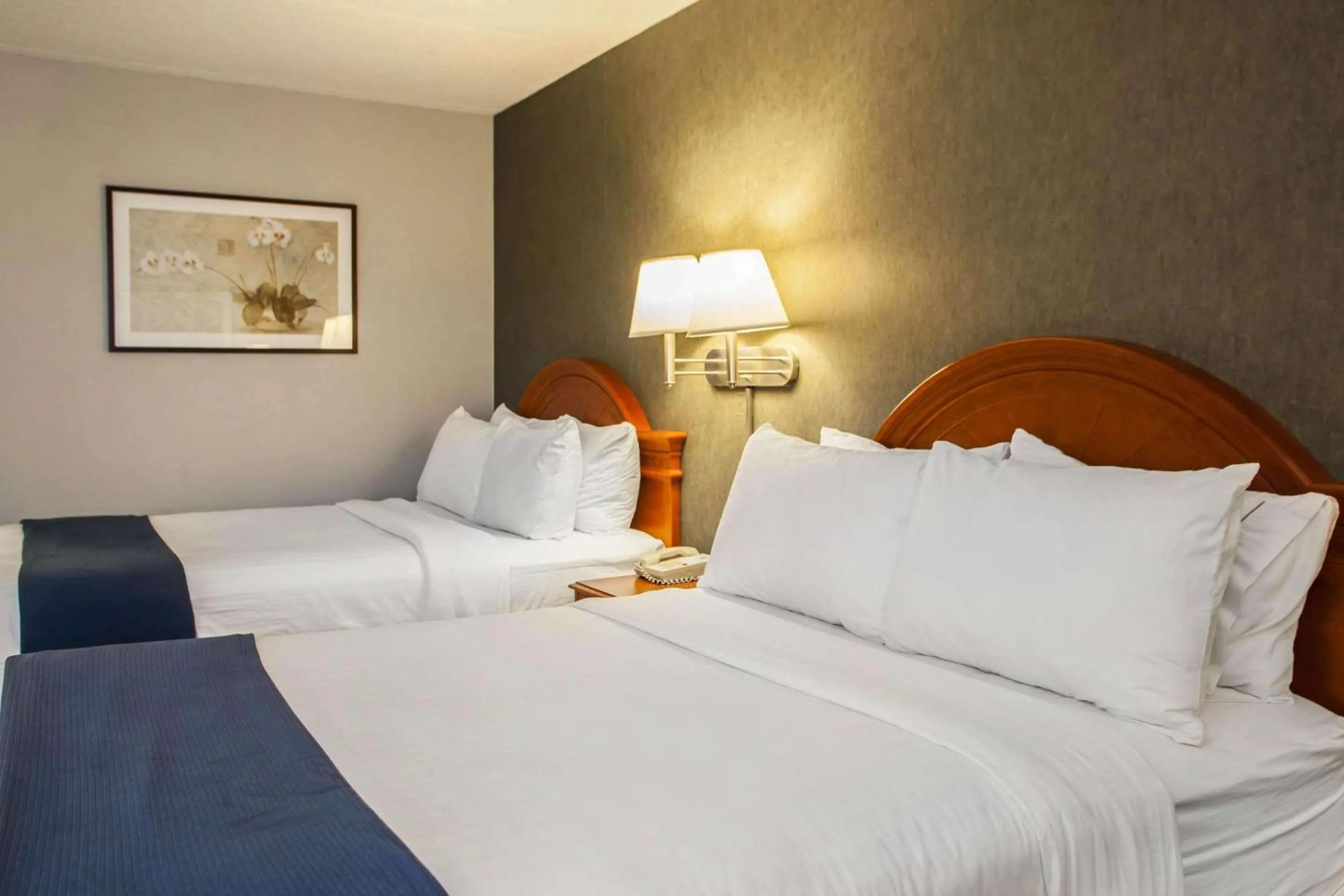 Photo of the whole room, Bed in Quality Inn & Suites St Charles -West Chicago