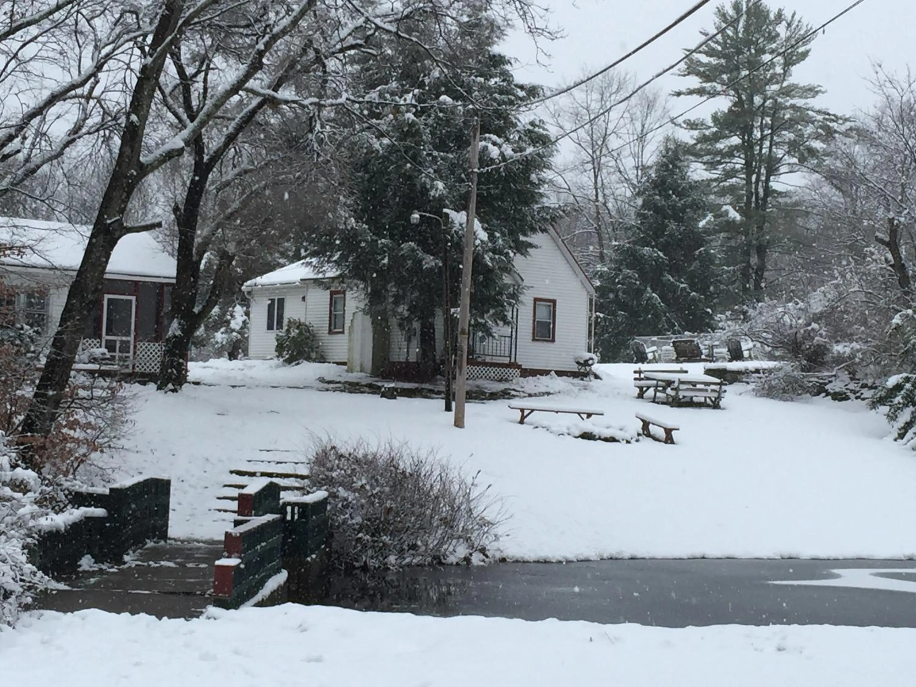 Natural landscape in Echo Valley Cottages