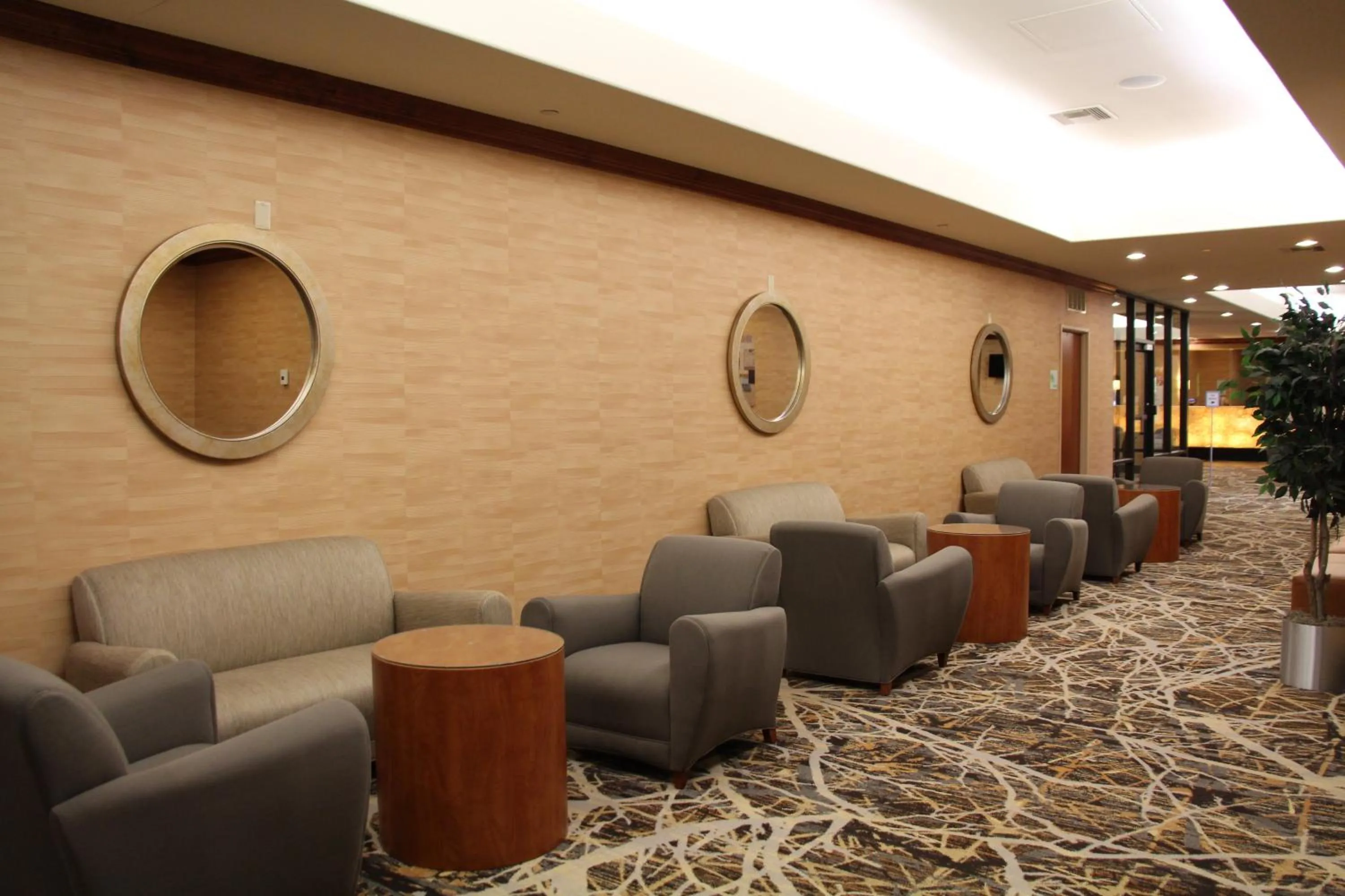 Meeting/conference room in Holiday Inn Denver Lakewood by IHG