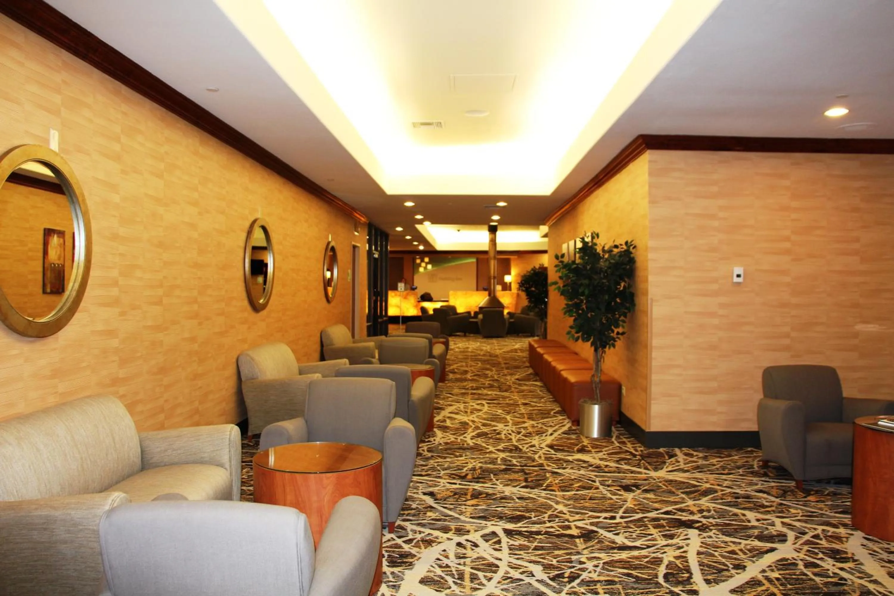 Meeting/conference room in Holiday Inn Denver Lakewood by IHG
