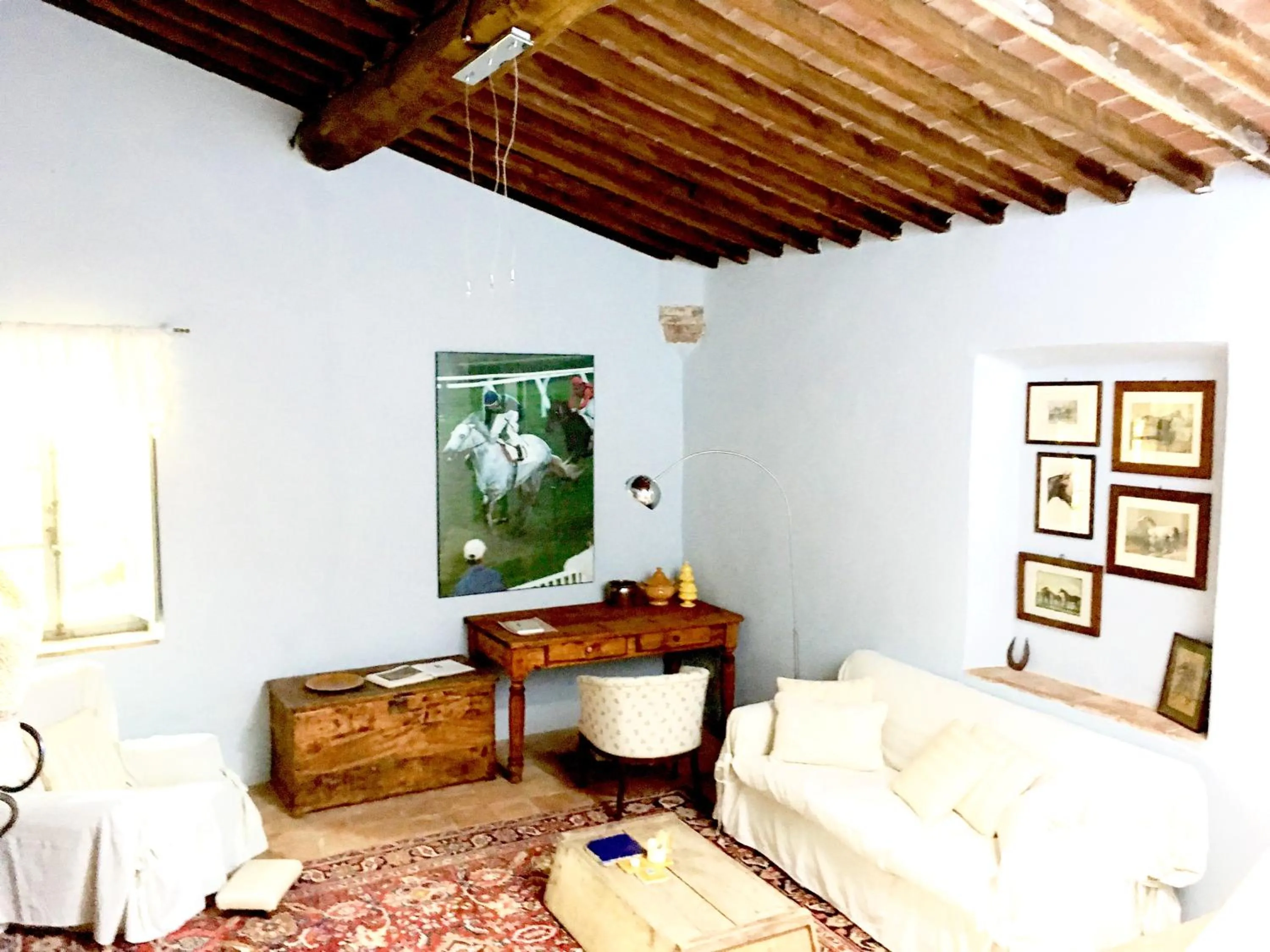 Library in Capannacce Organic and Horse Farm
