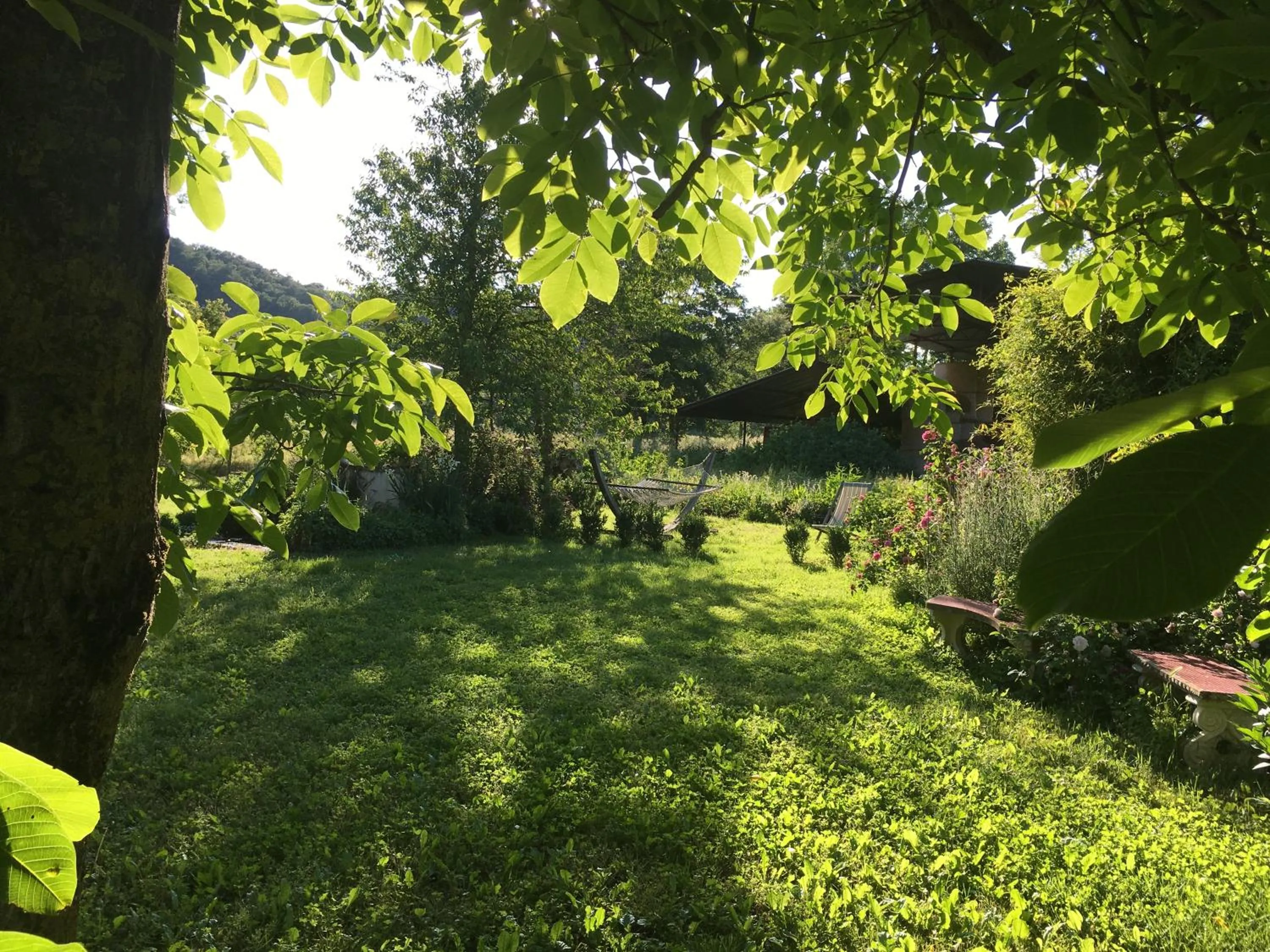 Garden in Capannacce Organic and Horse Farm