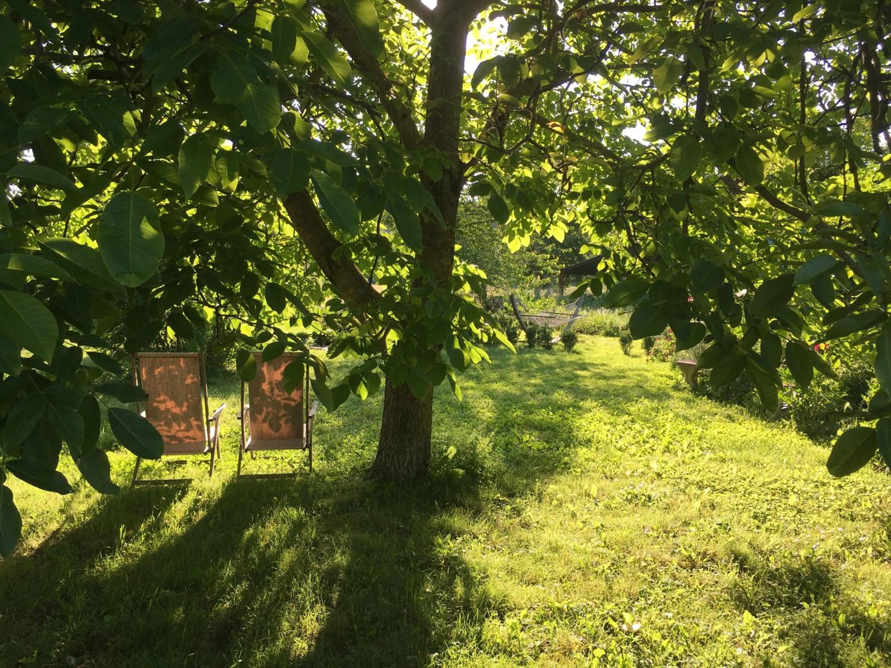 Garden in Capannacce Organic and Horse Farm