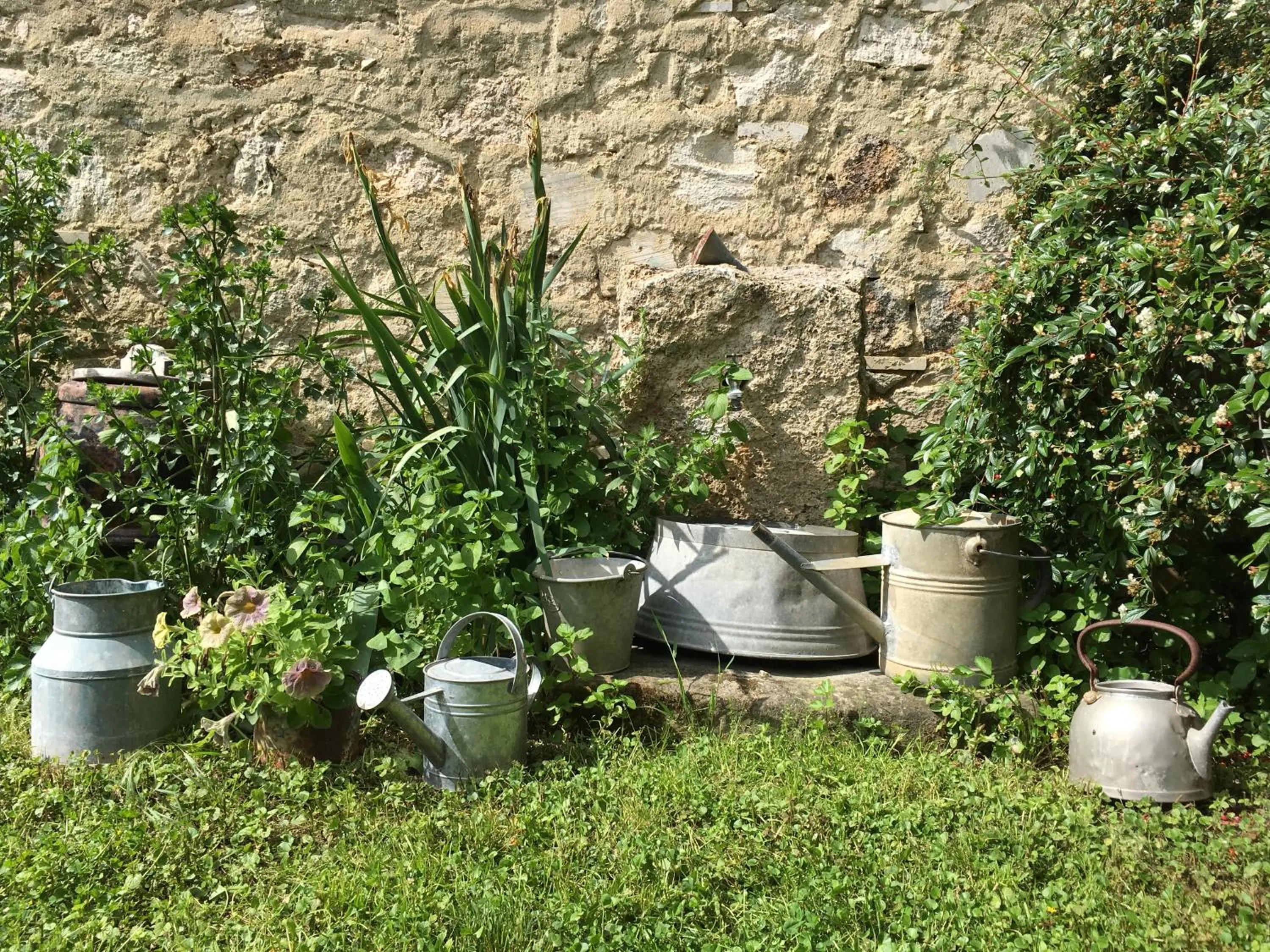 Garden in Capannacce Organic and Horse Farm