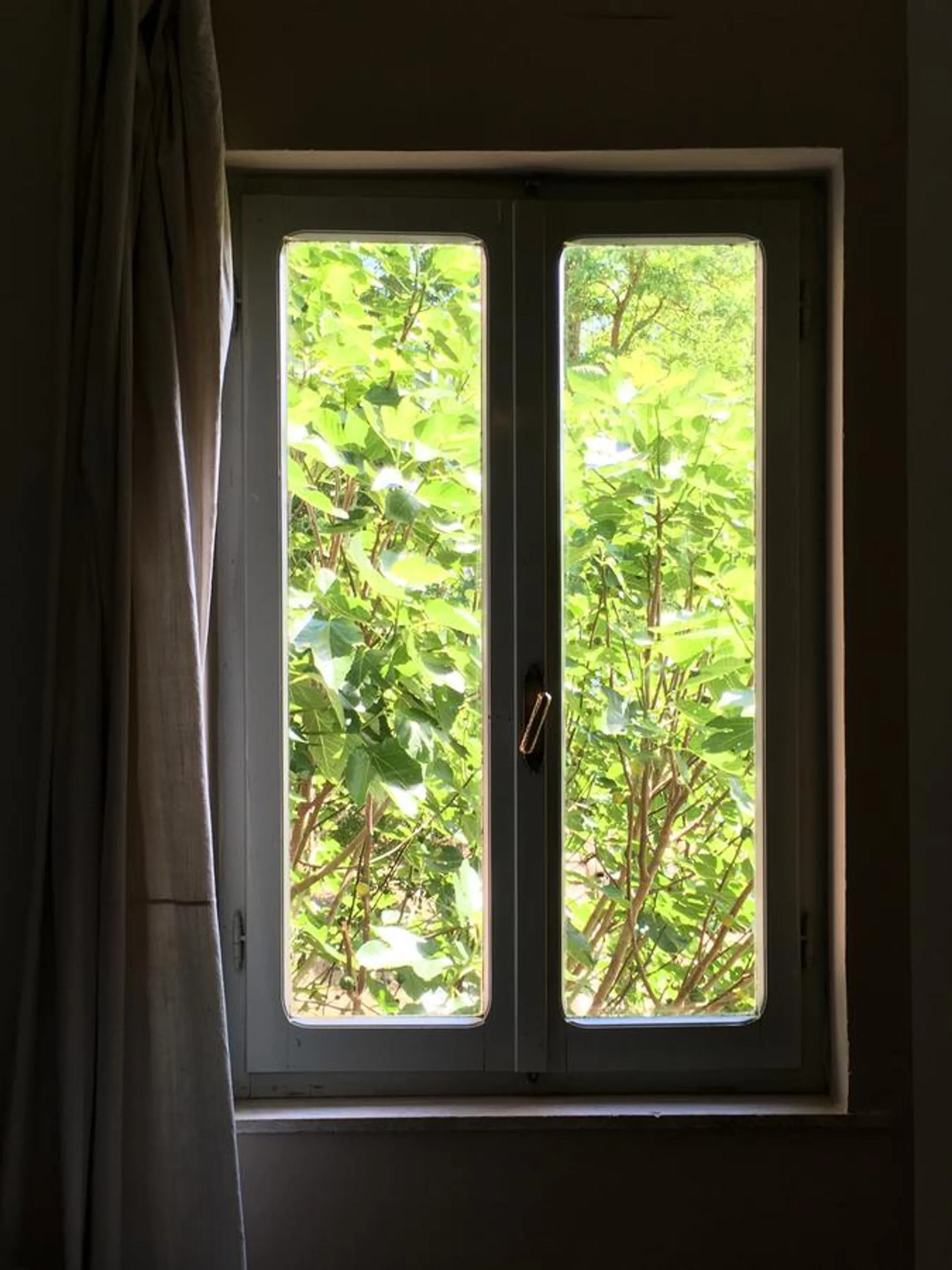 View (from property/room) in Capannacce Organic and Horse Farm