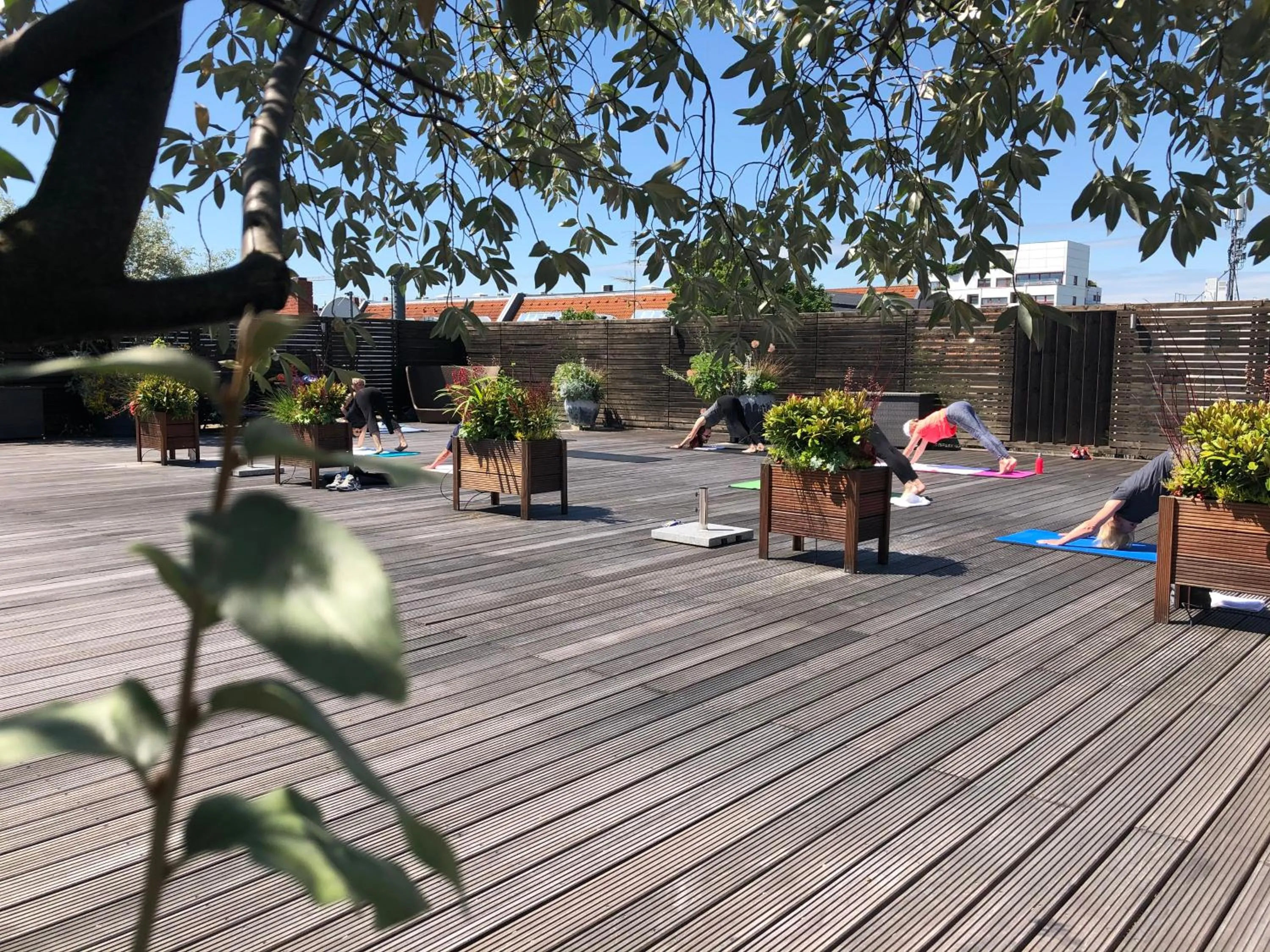 Garden in Aspria Berlin Ku'damm Sport & Spa