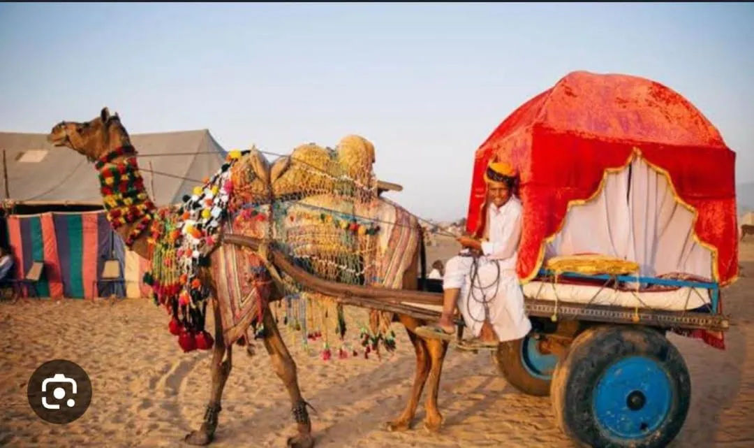 Activities in Swad Ri Dhani, Ajmer