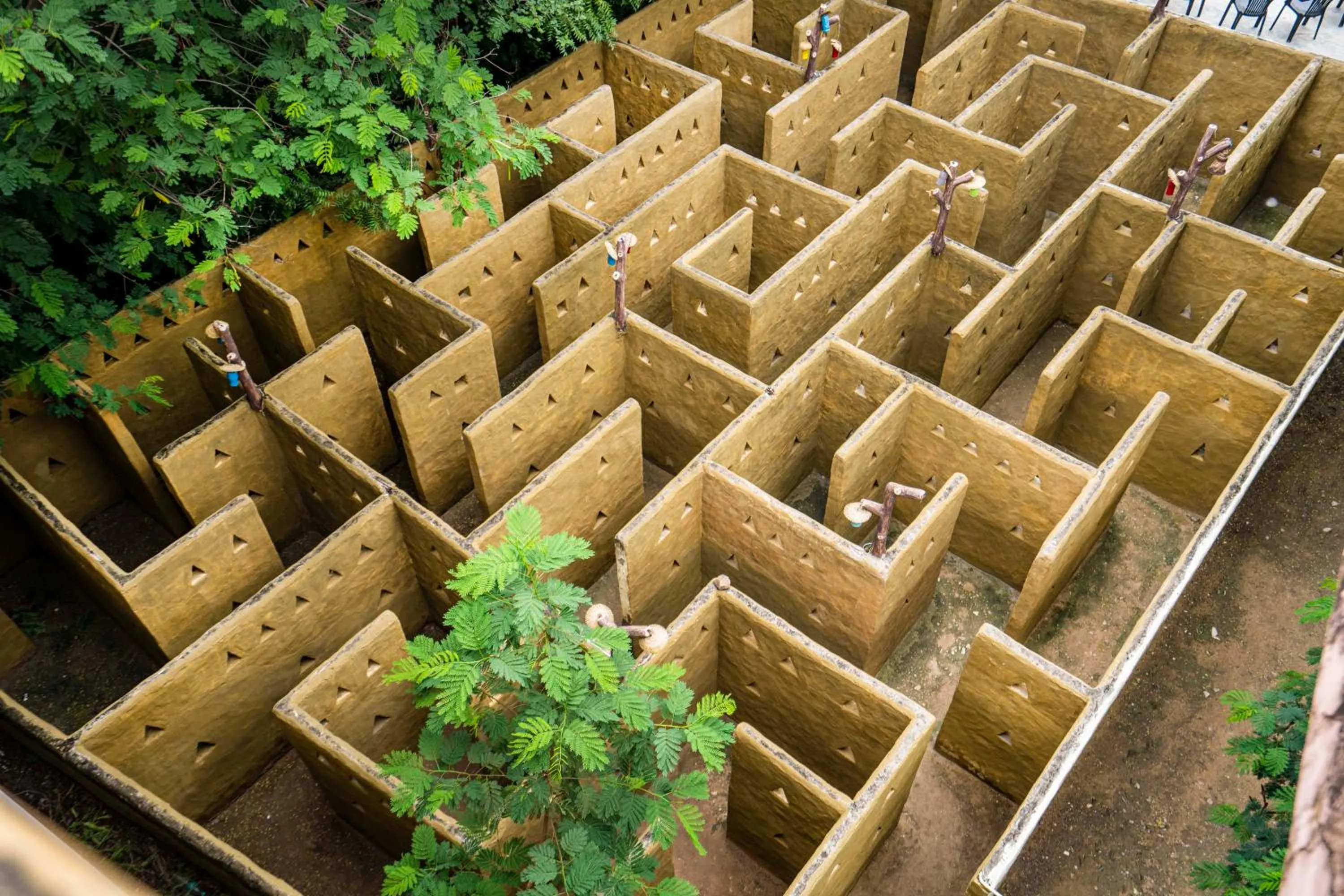 Activities in Swad Ri Dhani, Ajmer