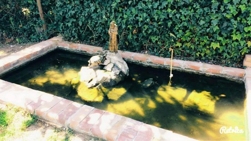 Garden in B&B Antica Forneria