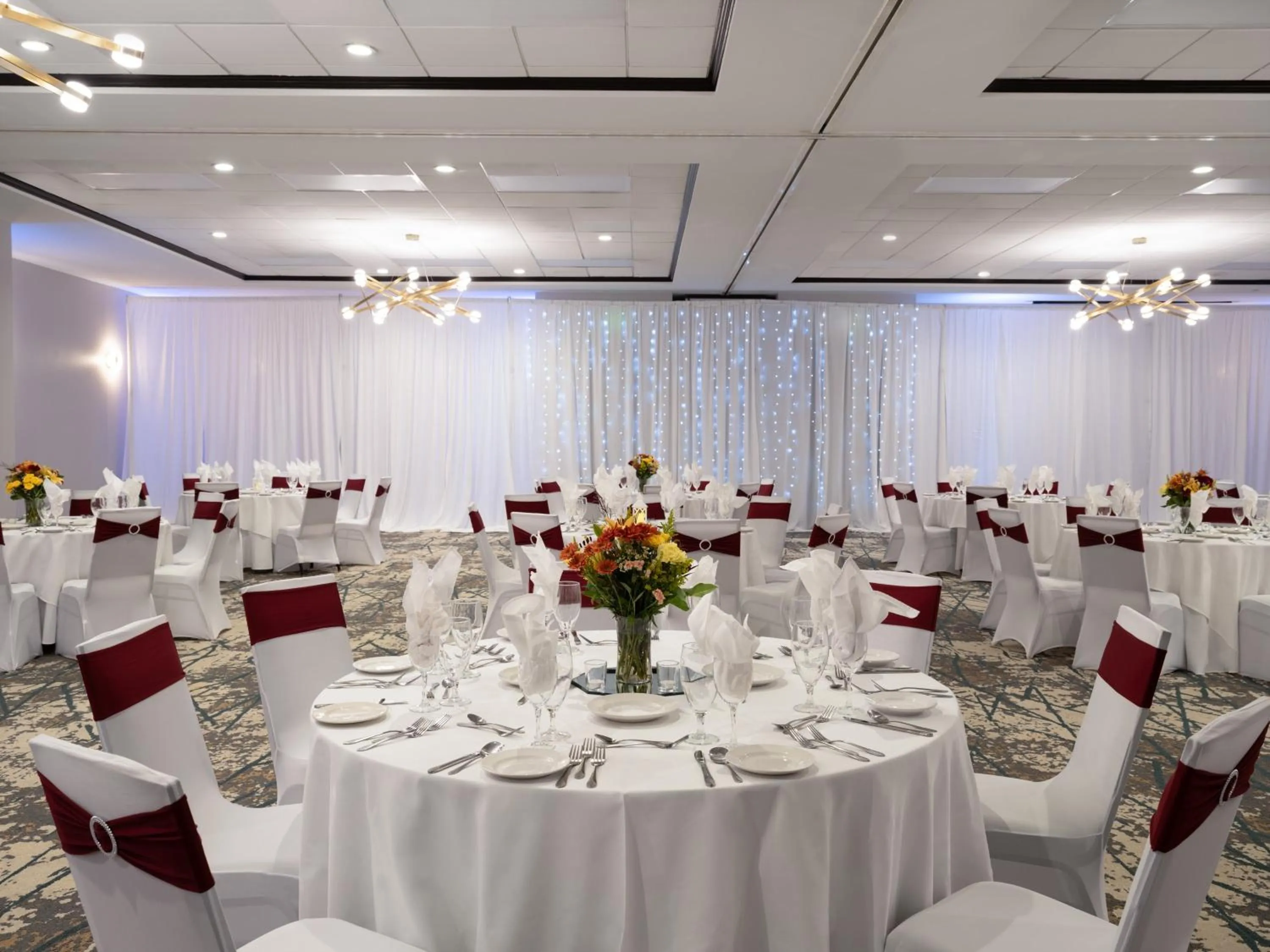 Banquet/Function facilities in Holiday Inn Hotel & Suites Chicago Northwest - Elgin by IHG