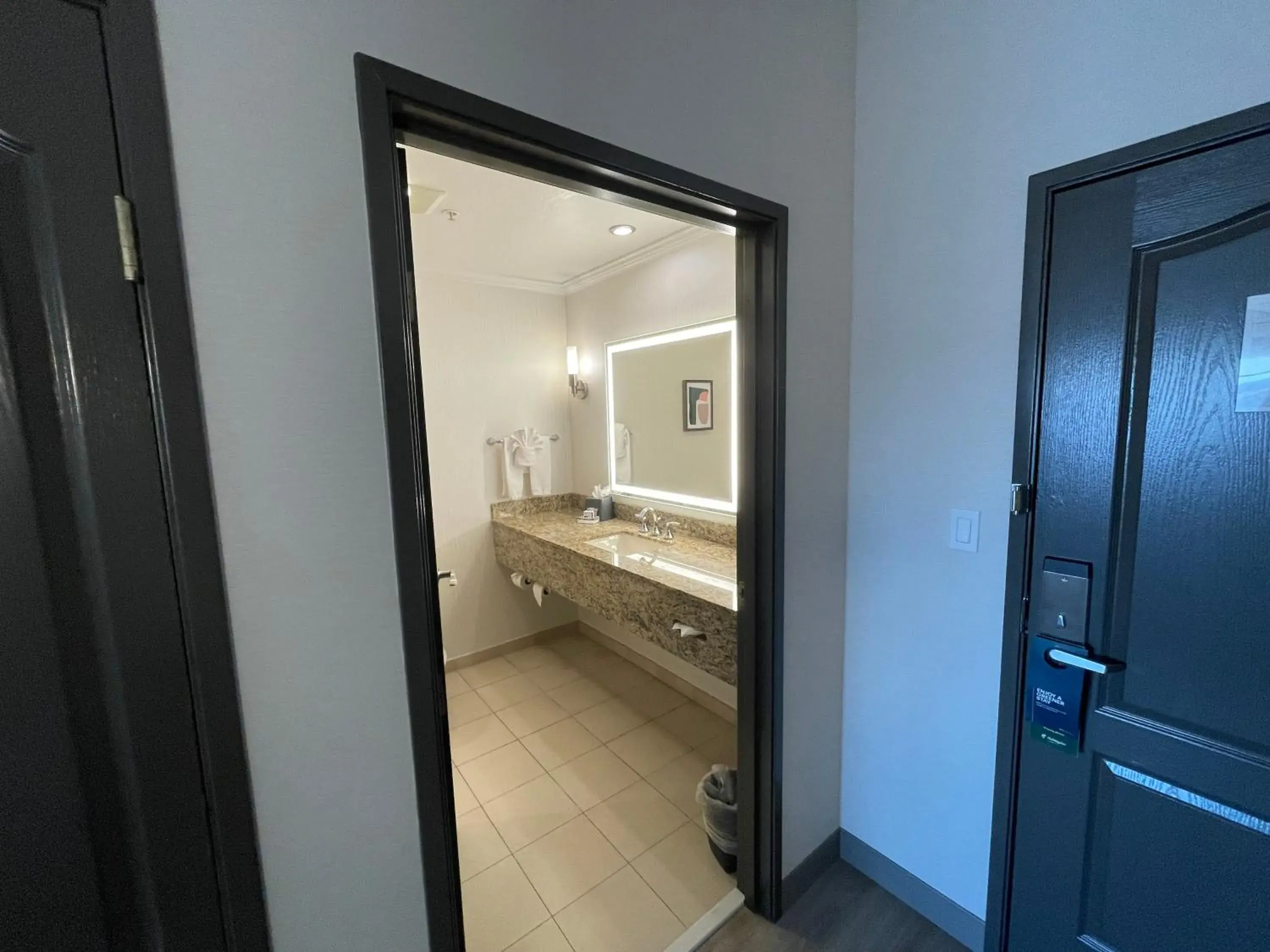 King Suite with Sofa Bed in Holiday Inn Hotel & Suites Chicago Northwest - Elgin by IHG King Suite with Sofa Bed in Holiday Inn Hotel & Suites Chicago Northwest - Elgin by IHG