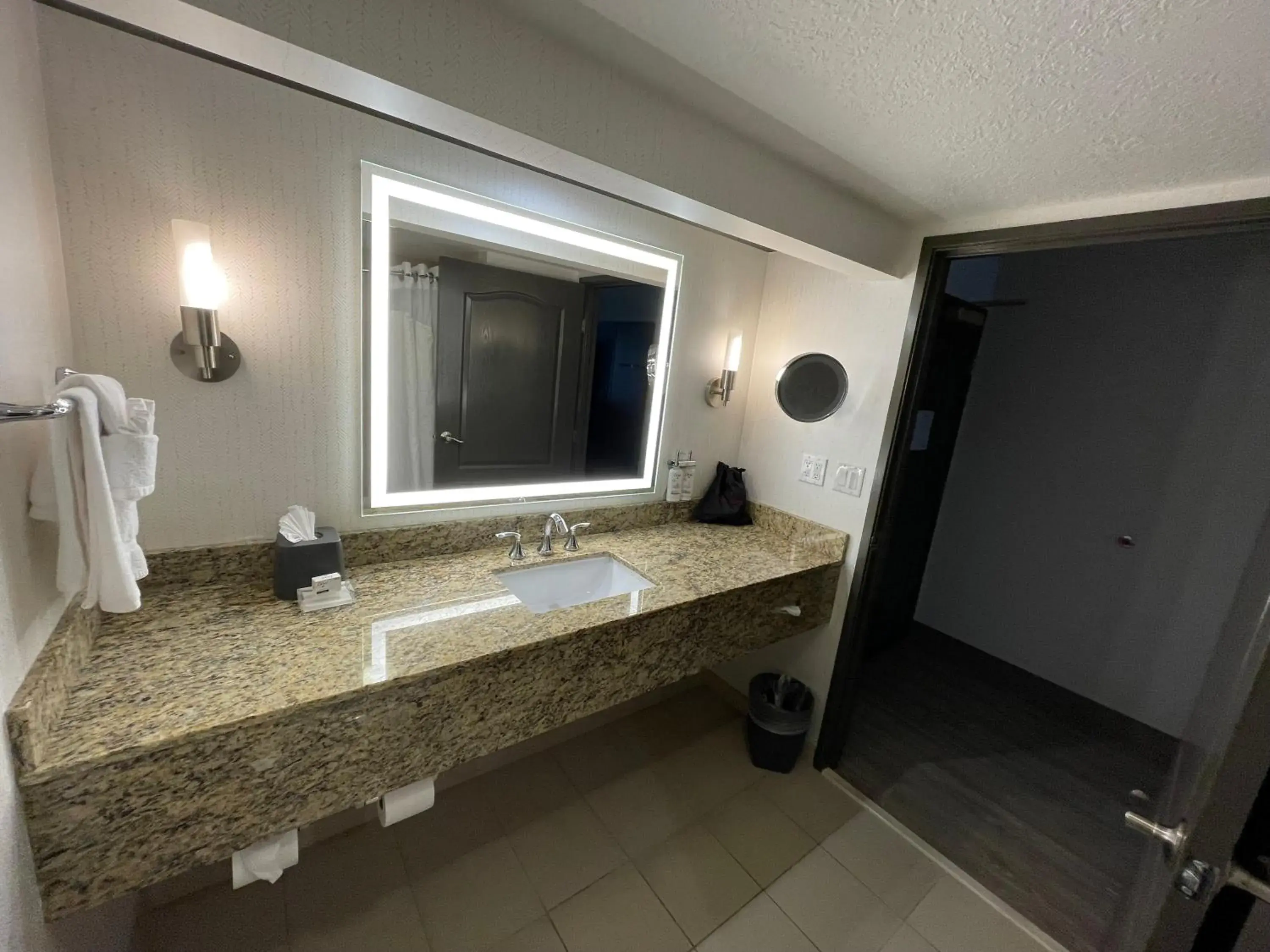 Standard King Room with Sofa Bed in Holiday Inn Hotel & Suites Chicago Northwest - Elgin by IHG Standard King Room with Sofa Bed in Holiday Inn Hotel & Suites Chicago Northwest - Elgin by IHG