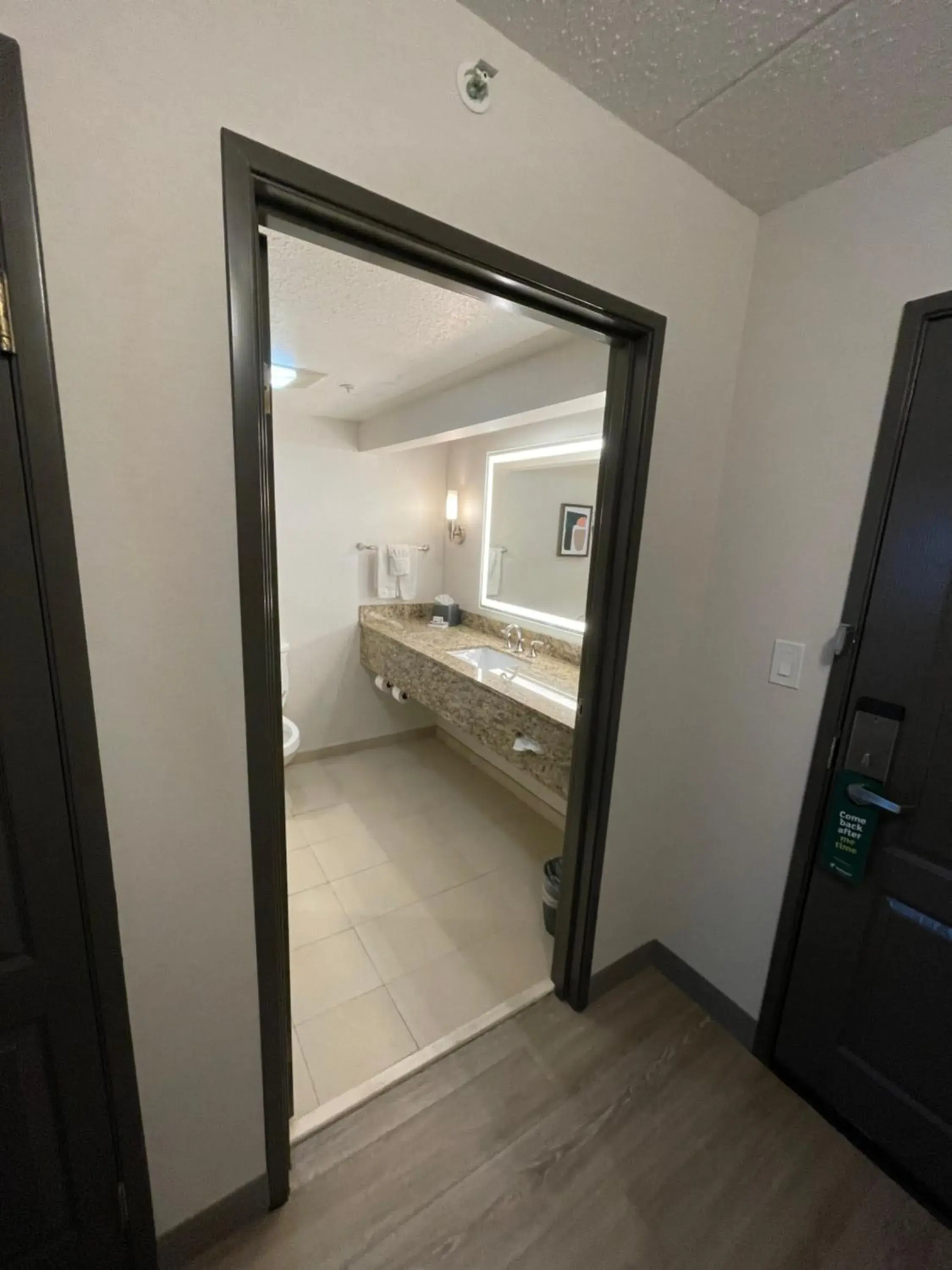 One-Bedroom Suite with Sofa Bed in Holiday Inn Hotel & Suites Chicago Northwest - Elgin by IHG One-Bedroom Suite with Sofa Bed in Holiday Inn Hotel & Suites Chicago Northwest - Elgin by IHG