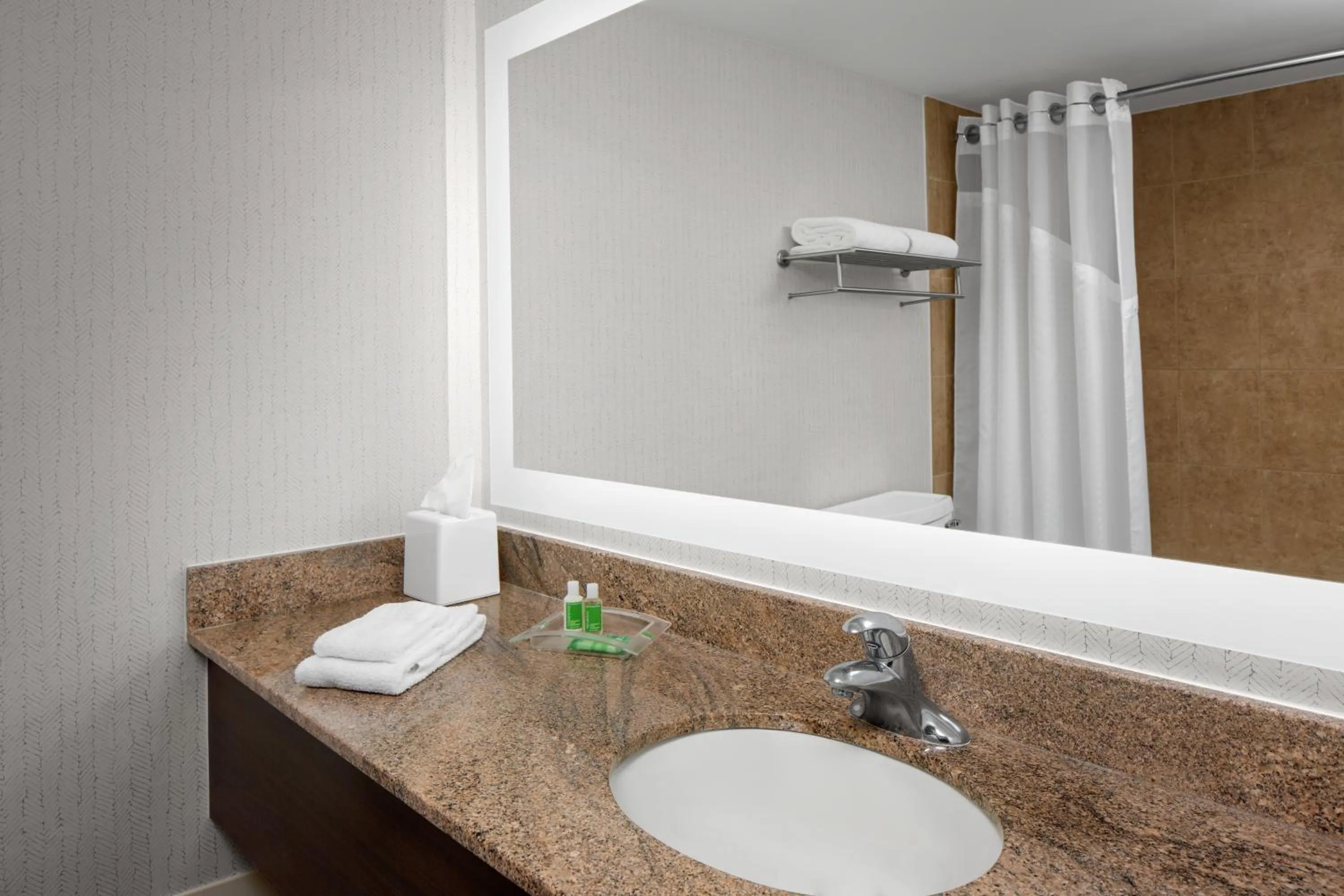 Bathroom in Holiday Inn Hasbrouck Heights-Meadowlands by IHG